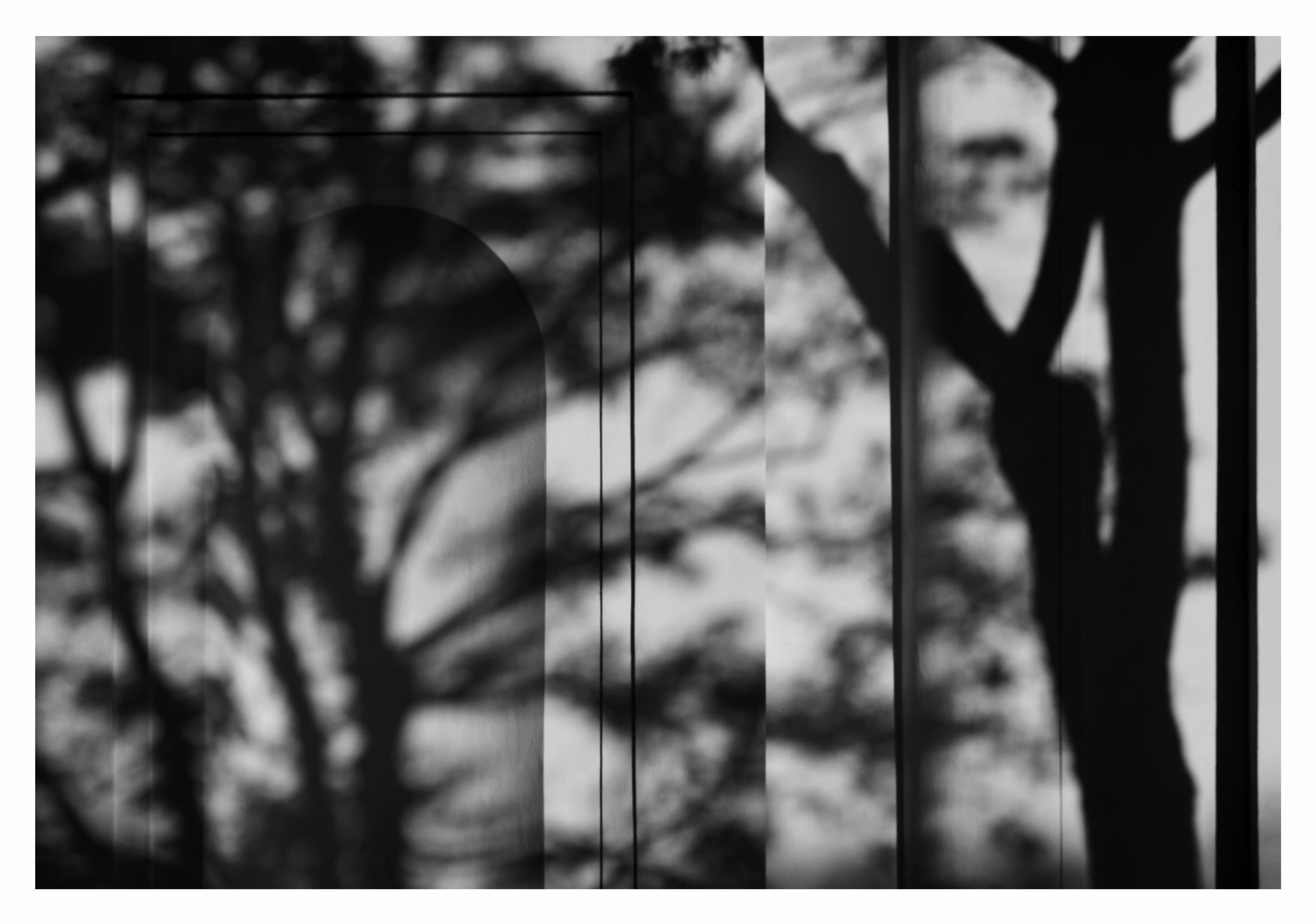 Photograph 15