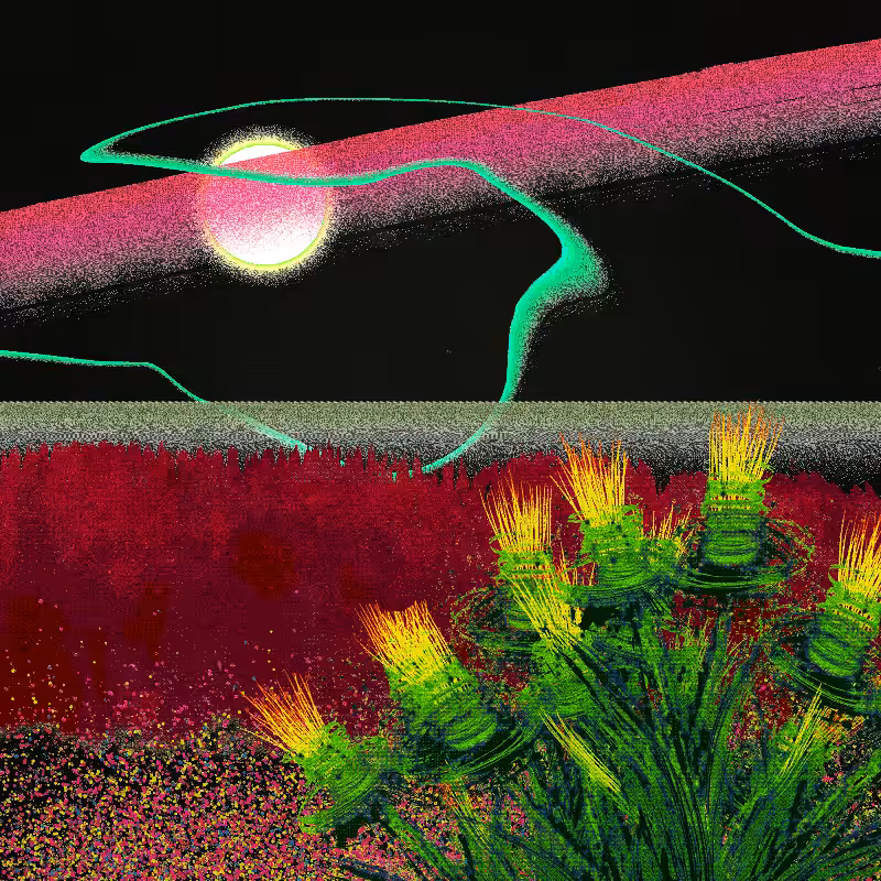 Ceshan's Psychedelics #576