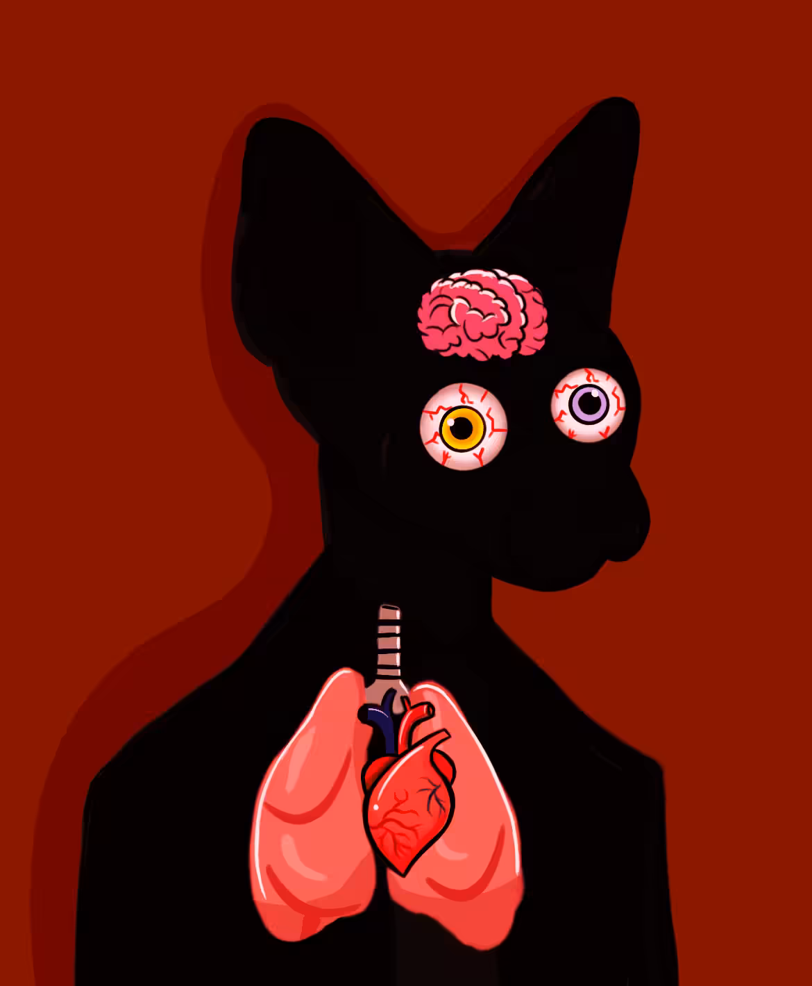 Sphynx Gangster #53