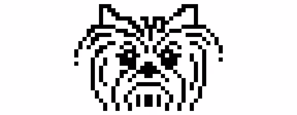 Pupokia Face #005