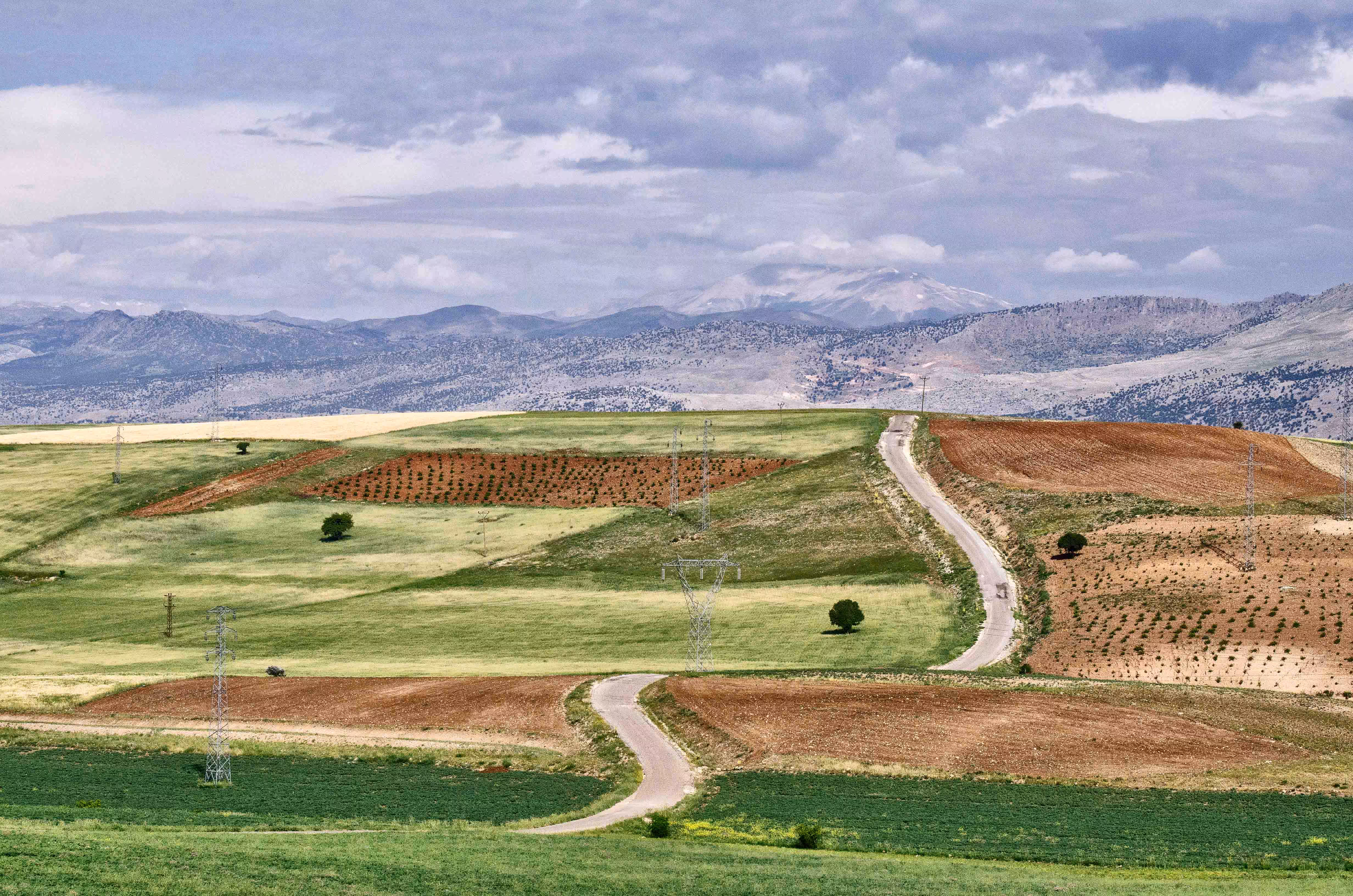 Longing for the Road