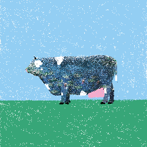 cows: cow #56