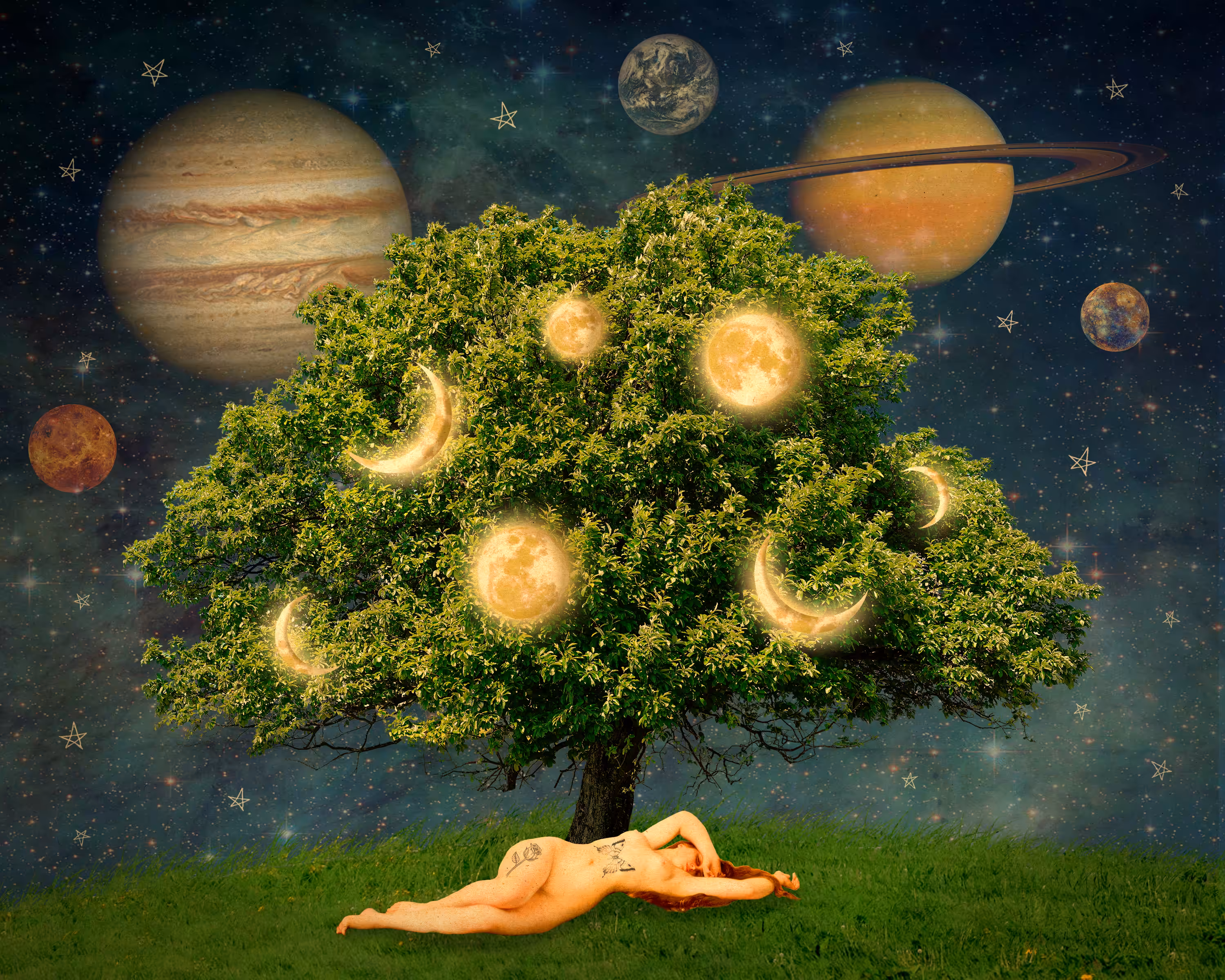 Midnight Under the Moon Tree