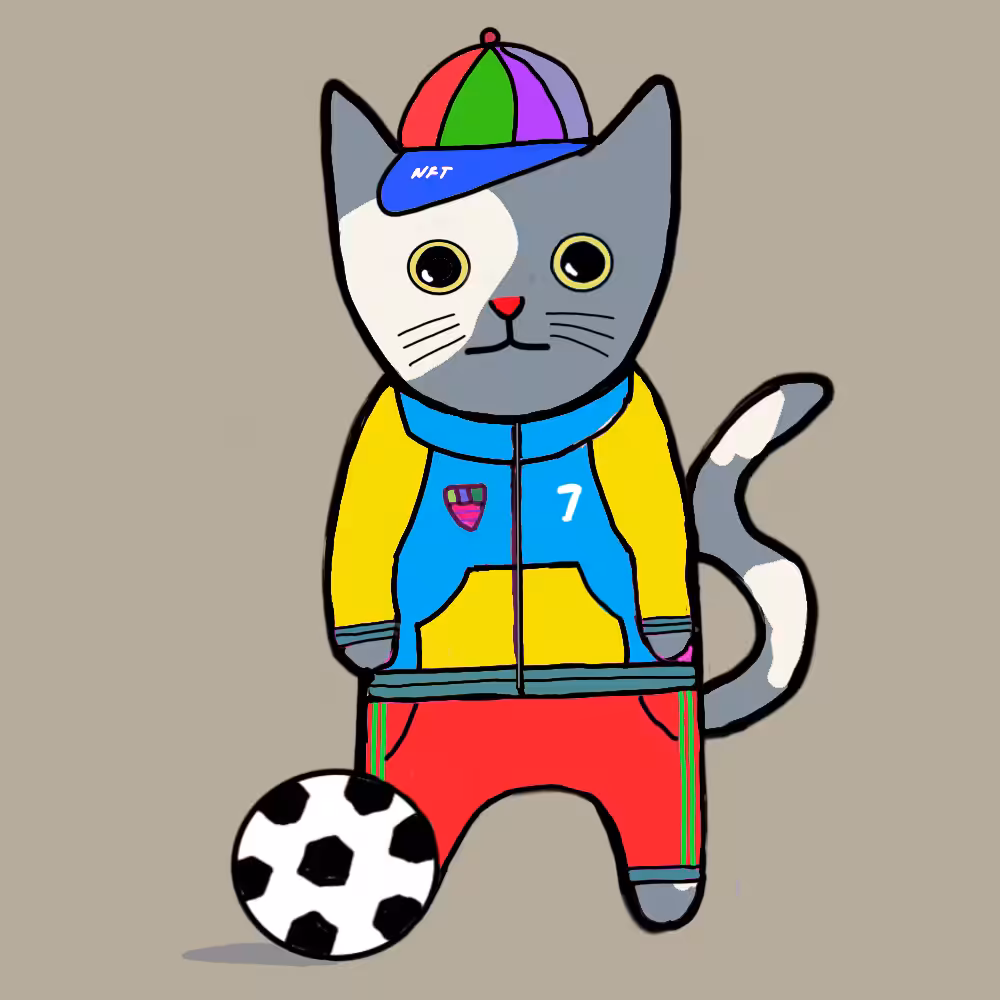 Sports cat #6