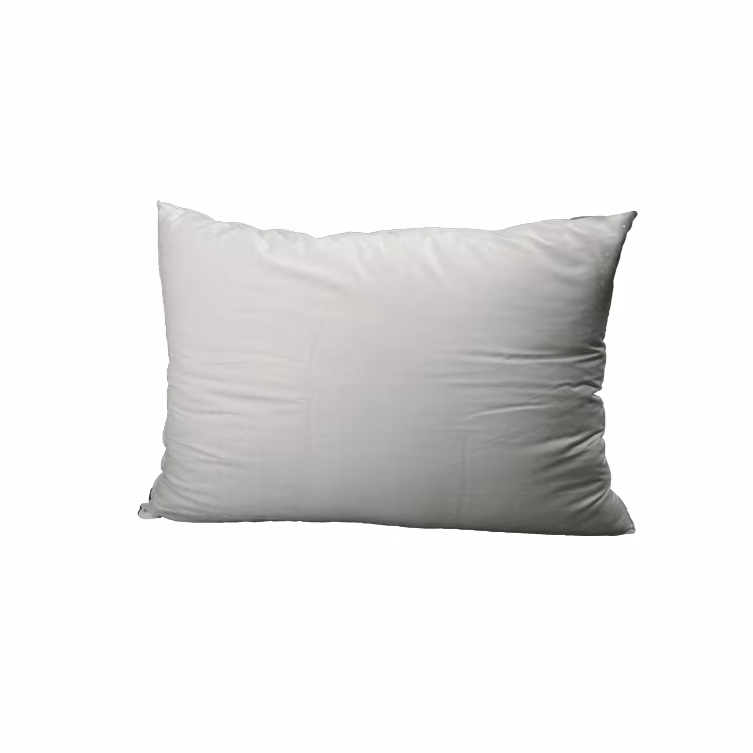 100 Everyday Items: Pillow