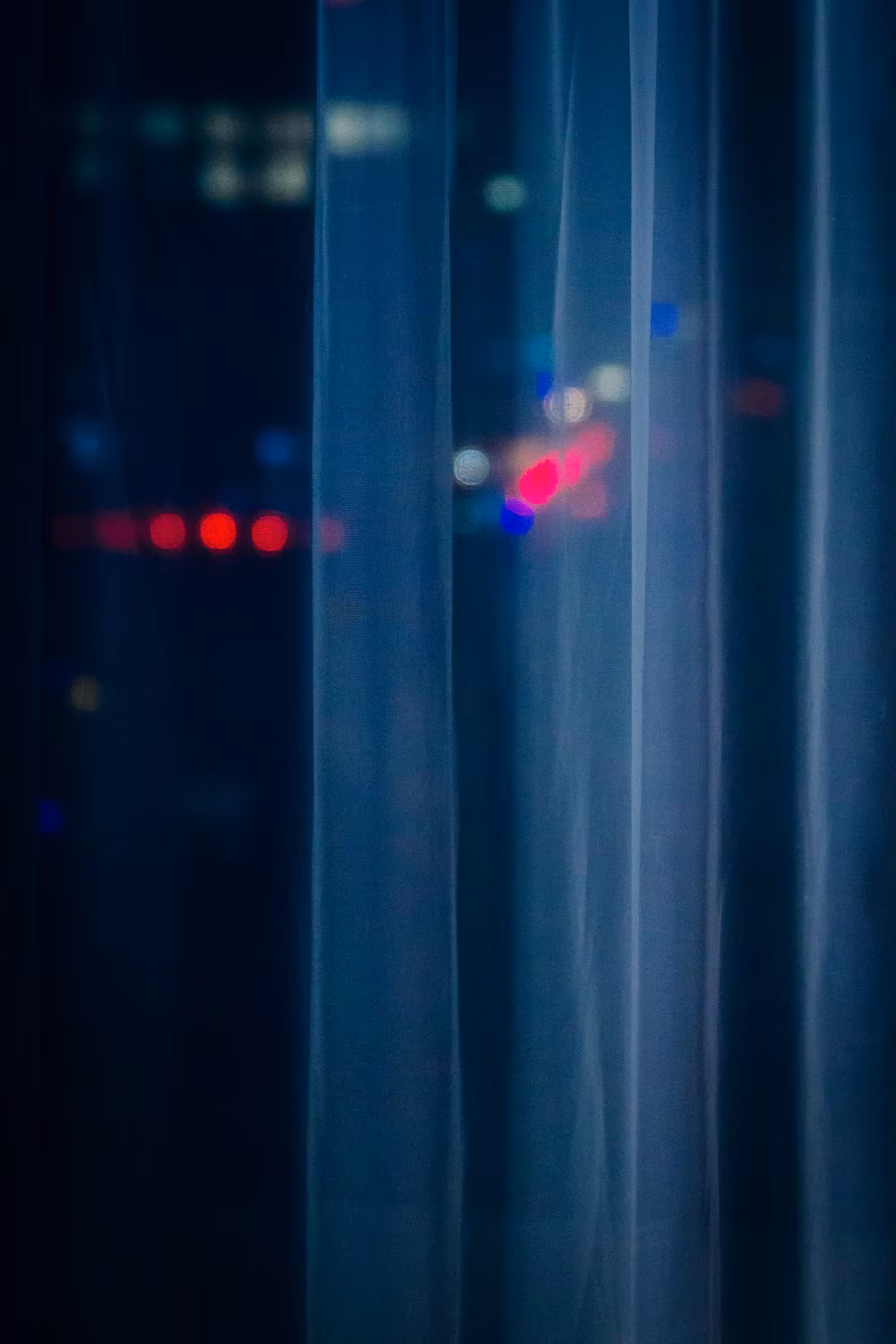 The Veiled Night