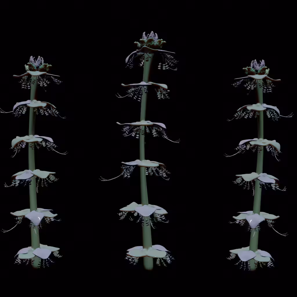 Ominia garden #1