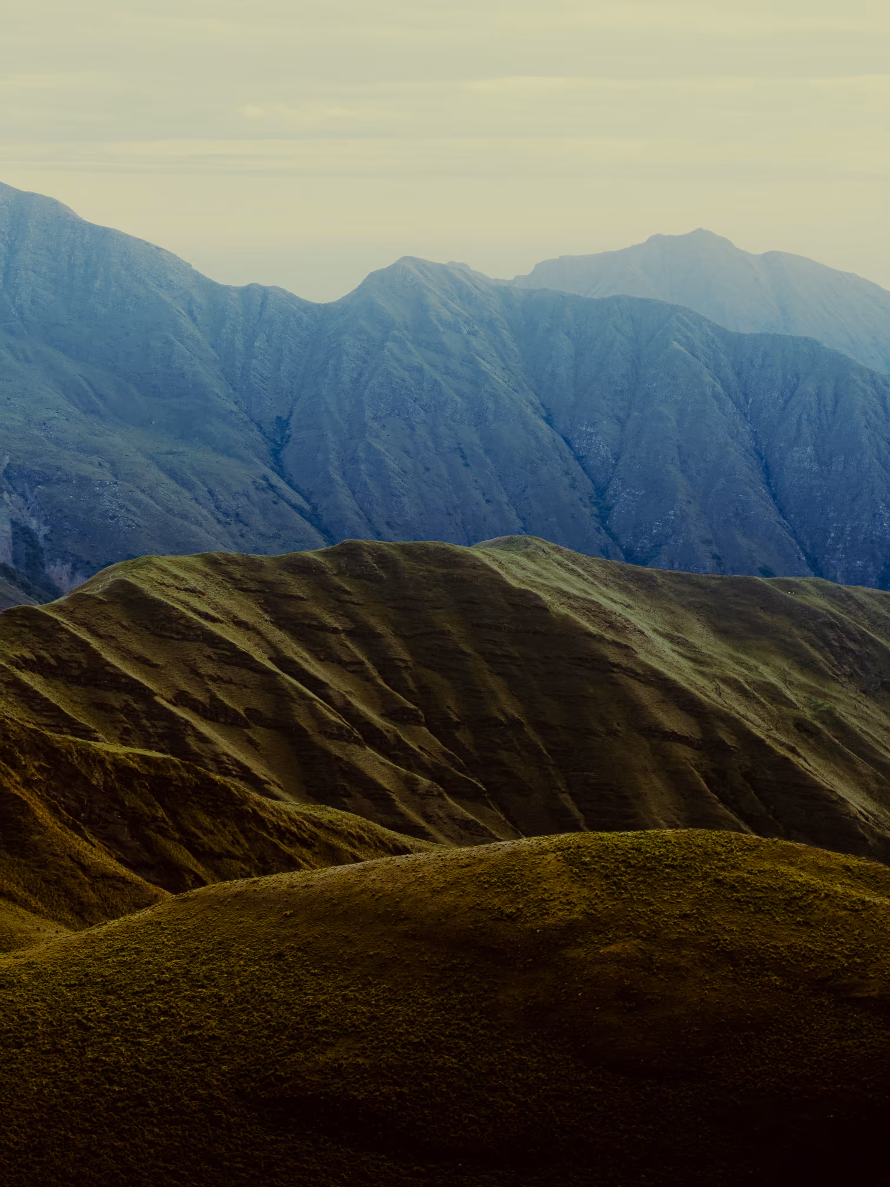 Andean Layers
