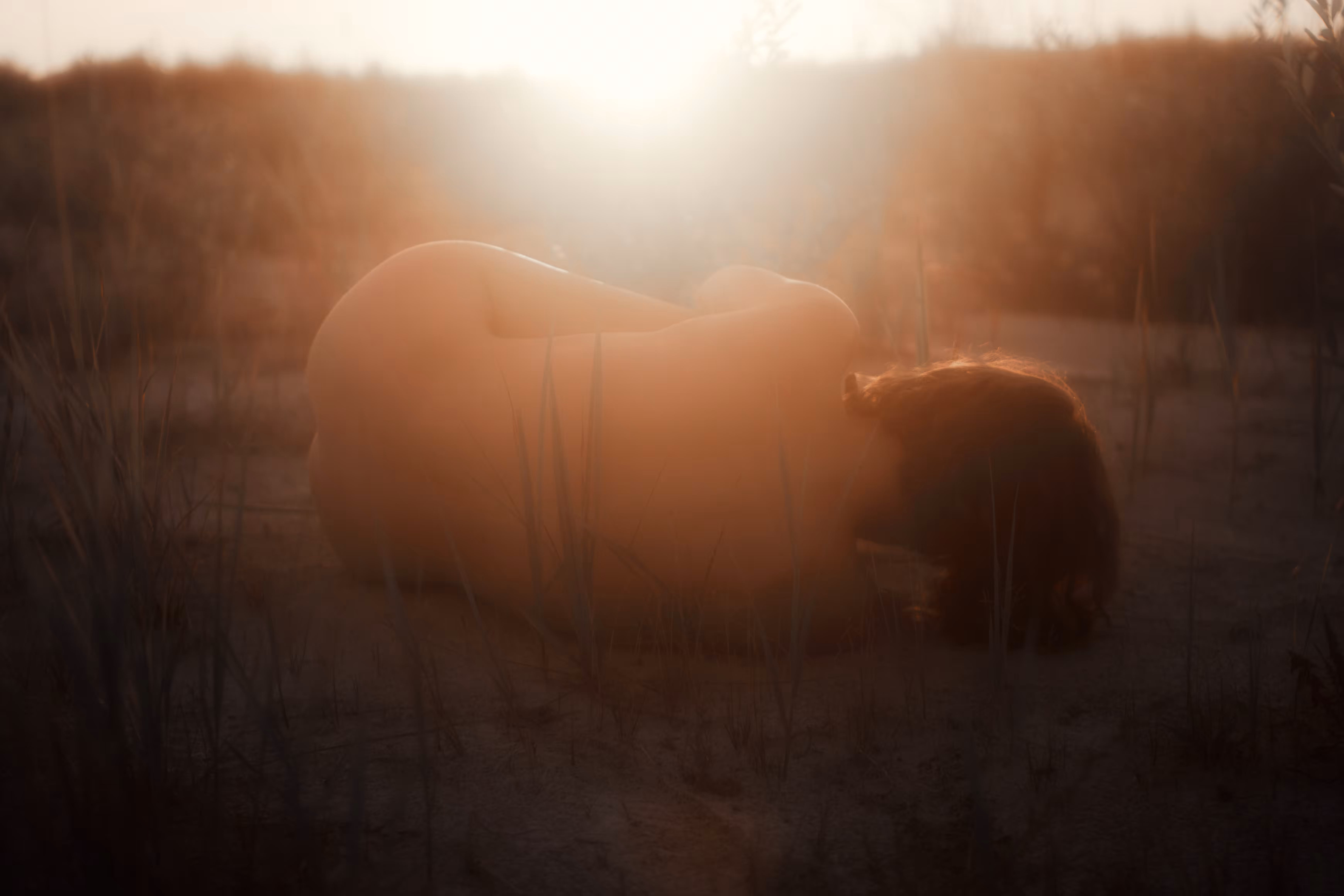 SKUZMIN PHOTOGRAPHY 1/1