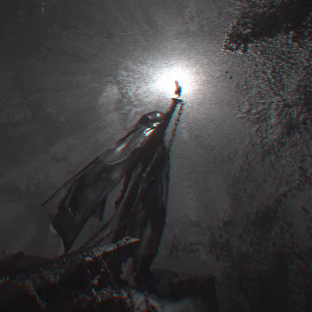 RIGHT IN THE DARKNESS