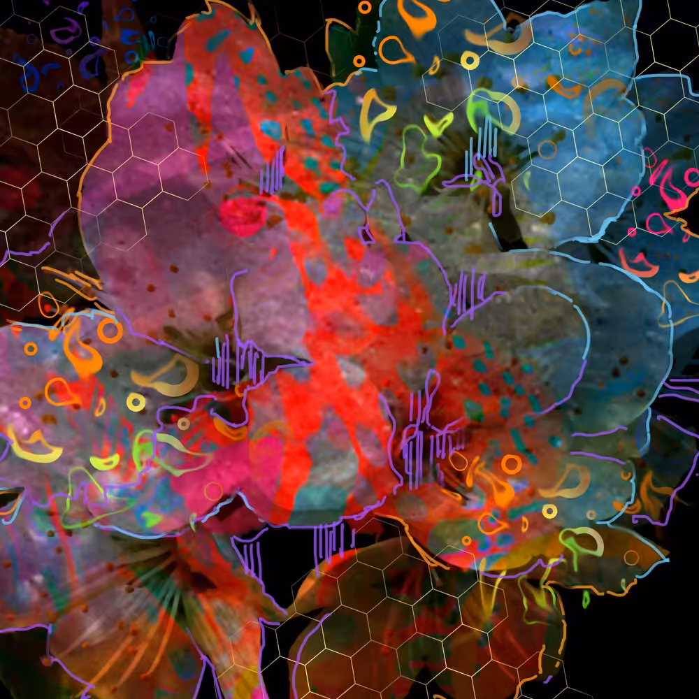 Abstracting Flower