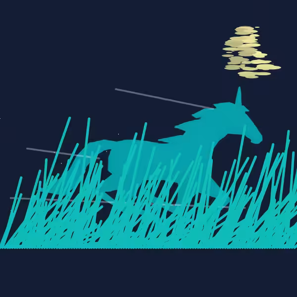 Run.Unicorn.ning  #2