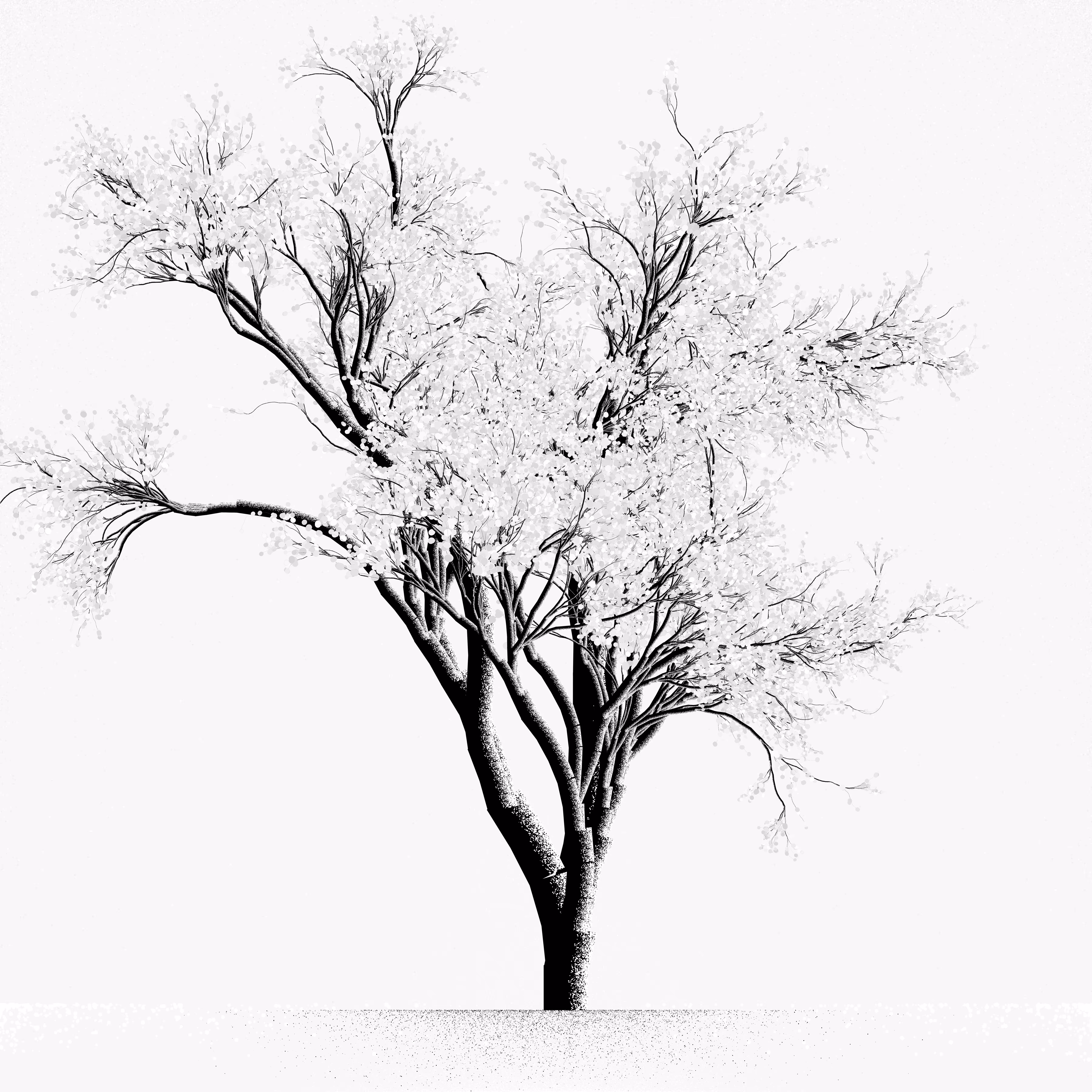 Snow Tree #41