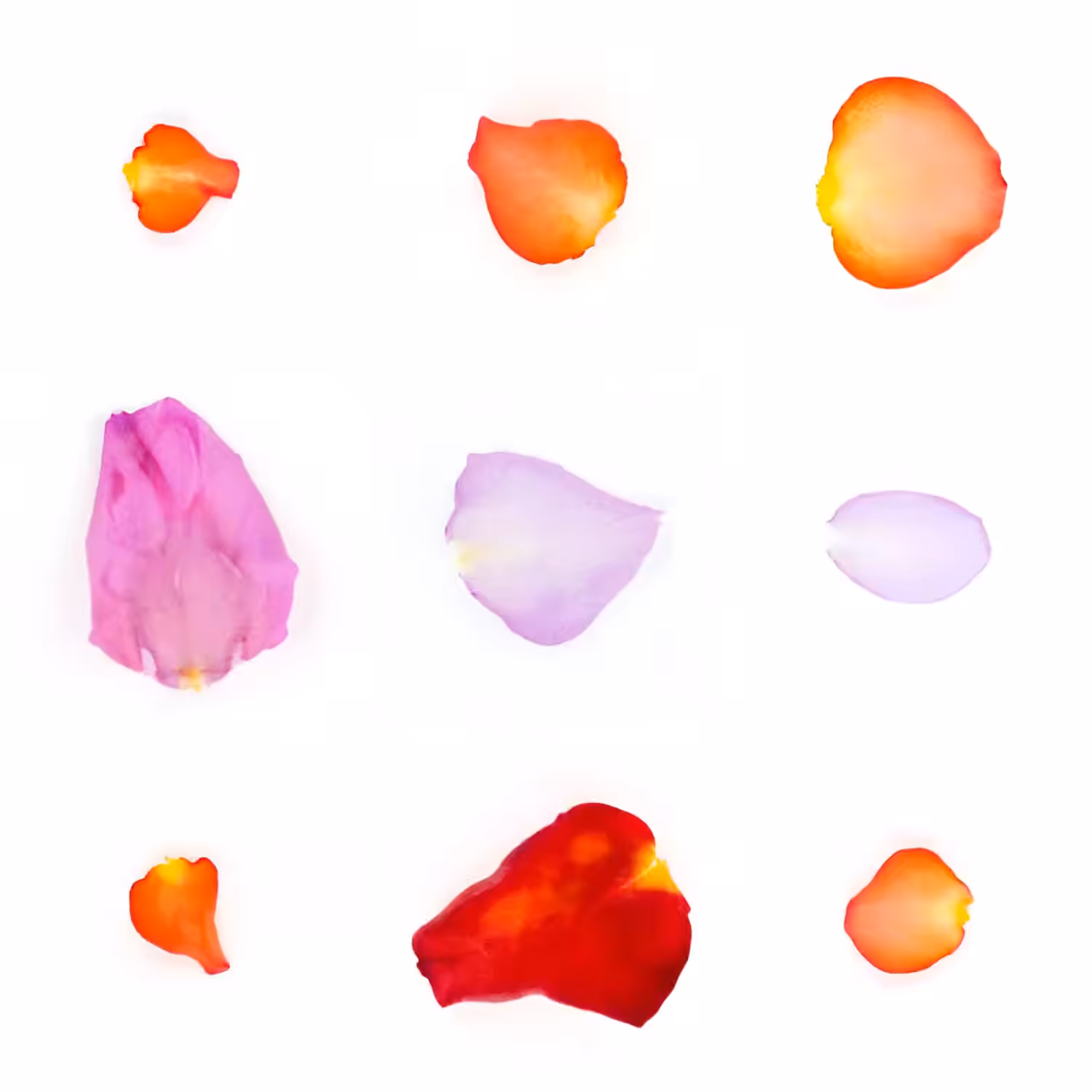 Infinite Petals 3x3#2107