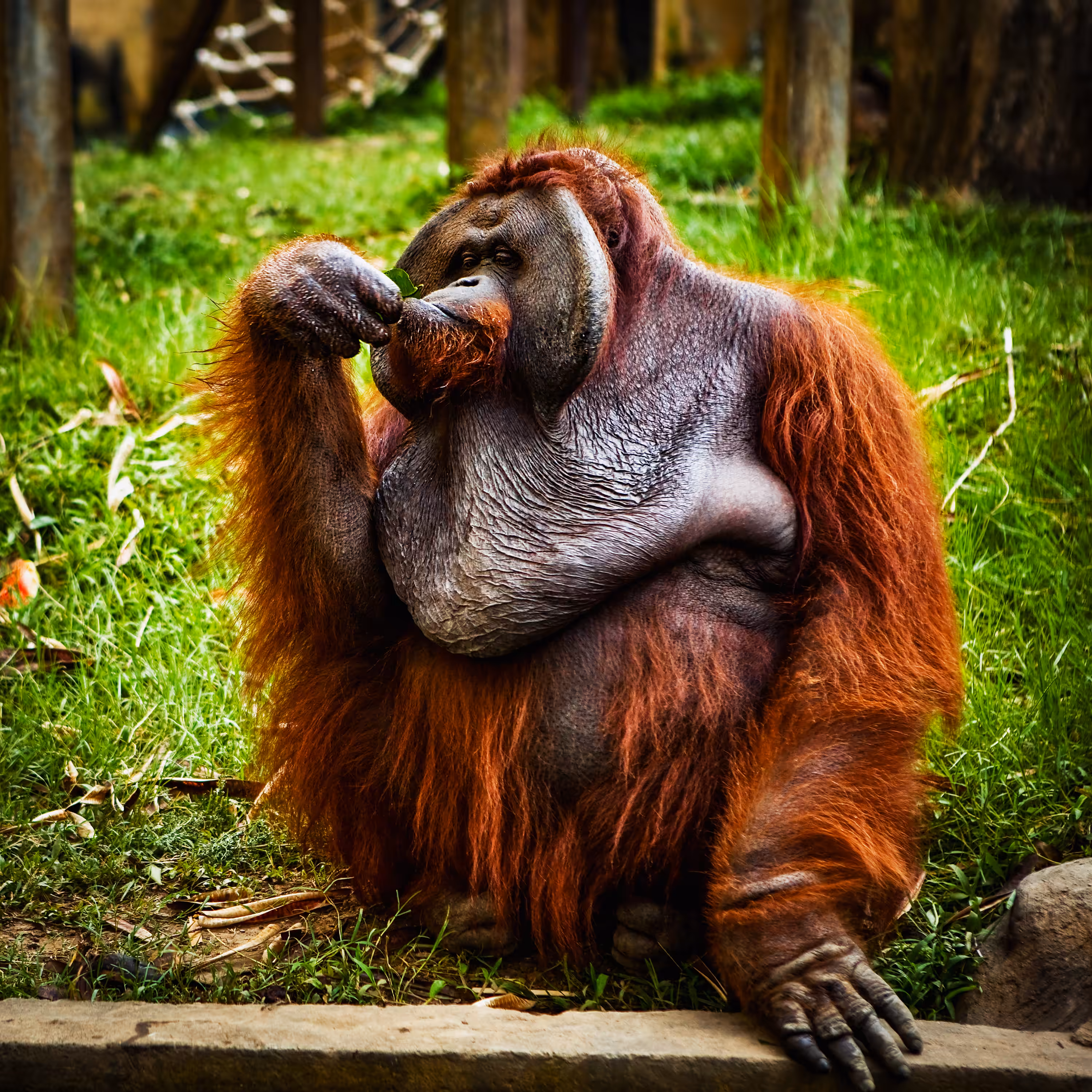 Really Bored Apes #2