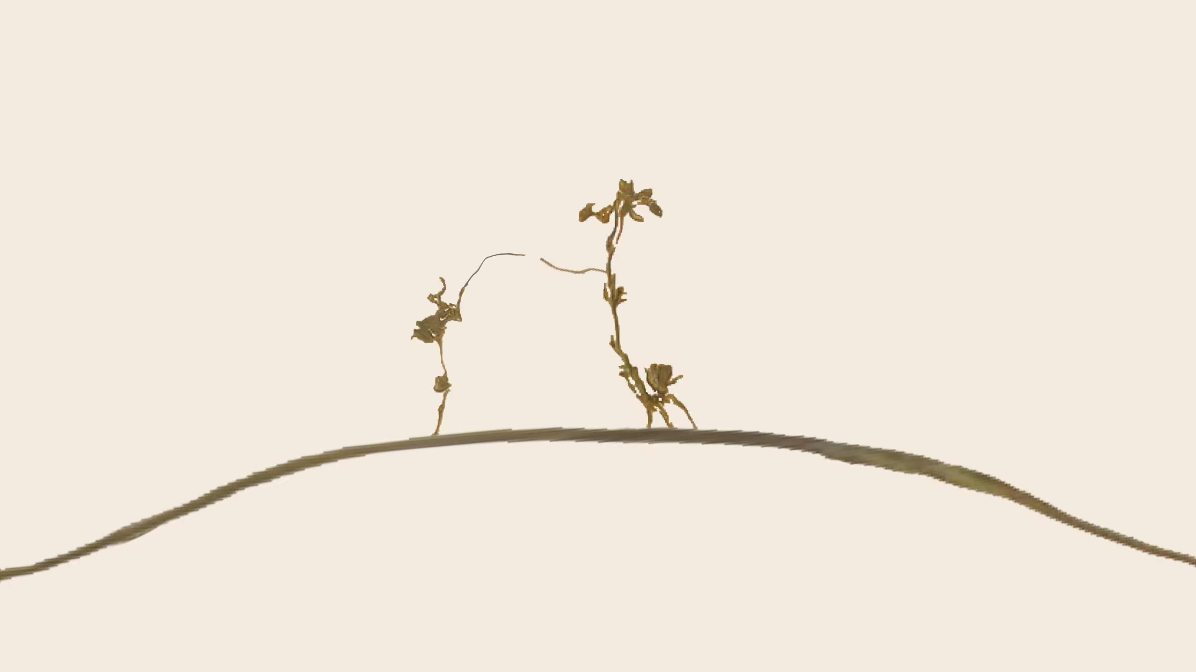 what was found in the mountain (the language of impossible trees)