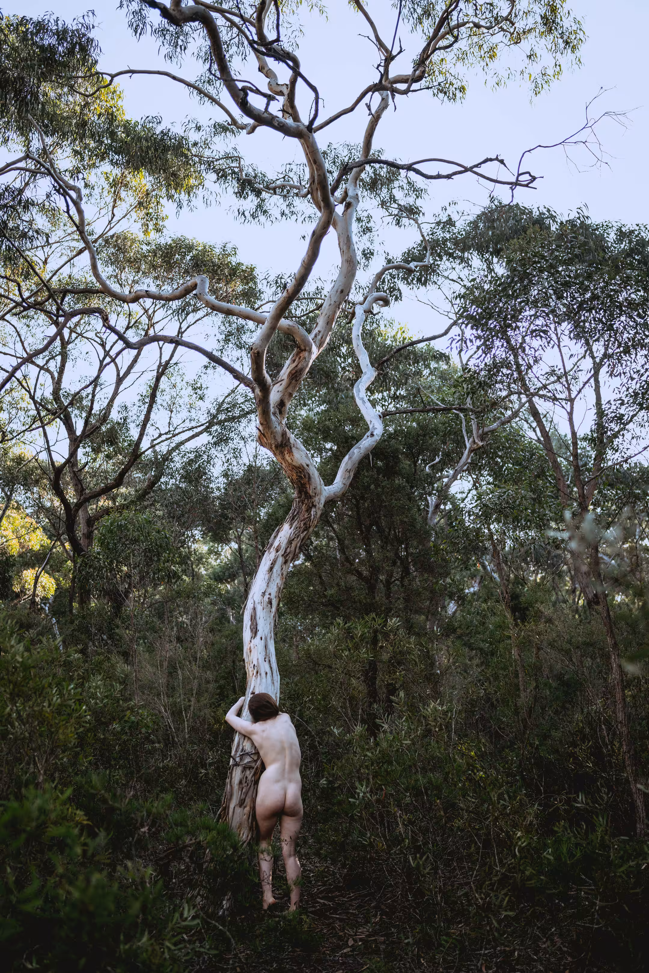 Habitat