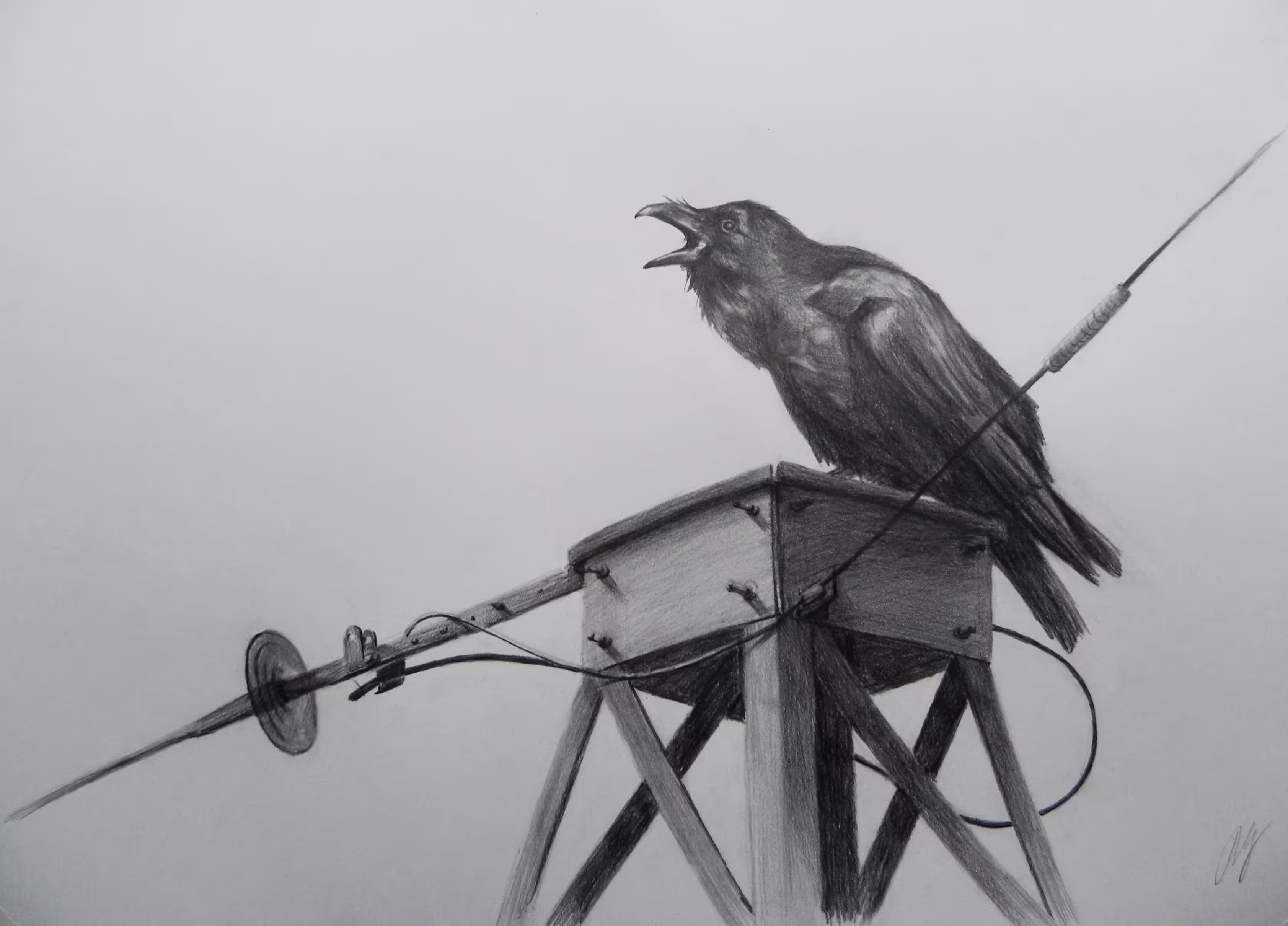 Talking raven.