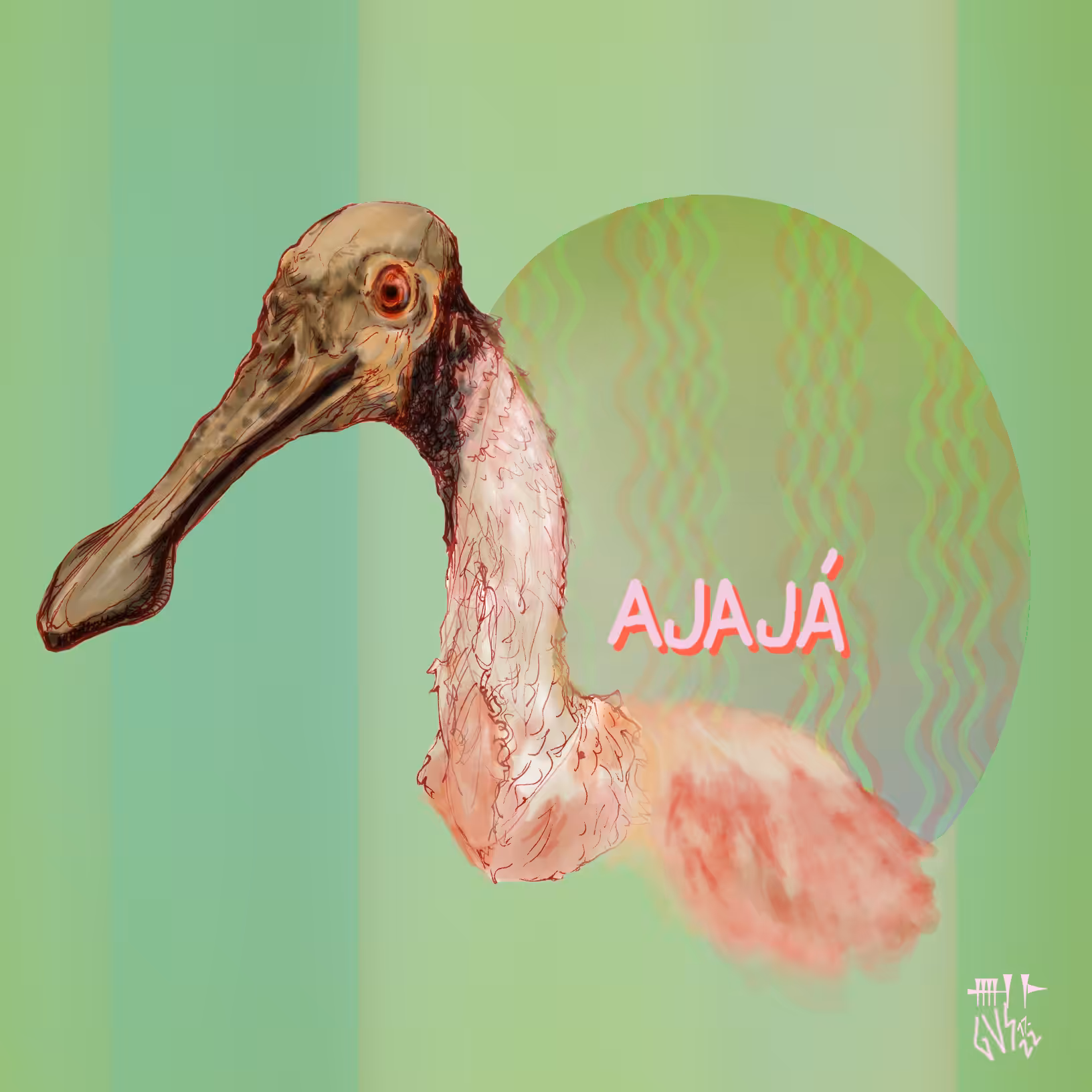 Ajajá — Colhereiro