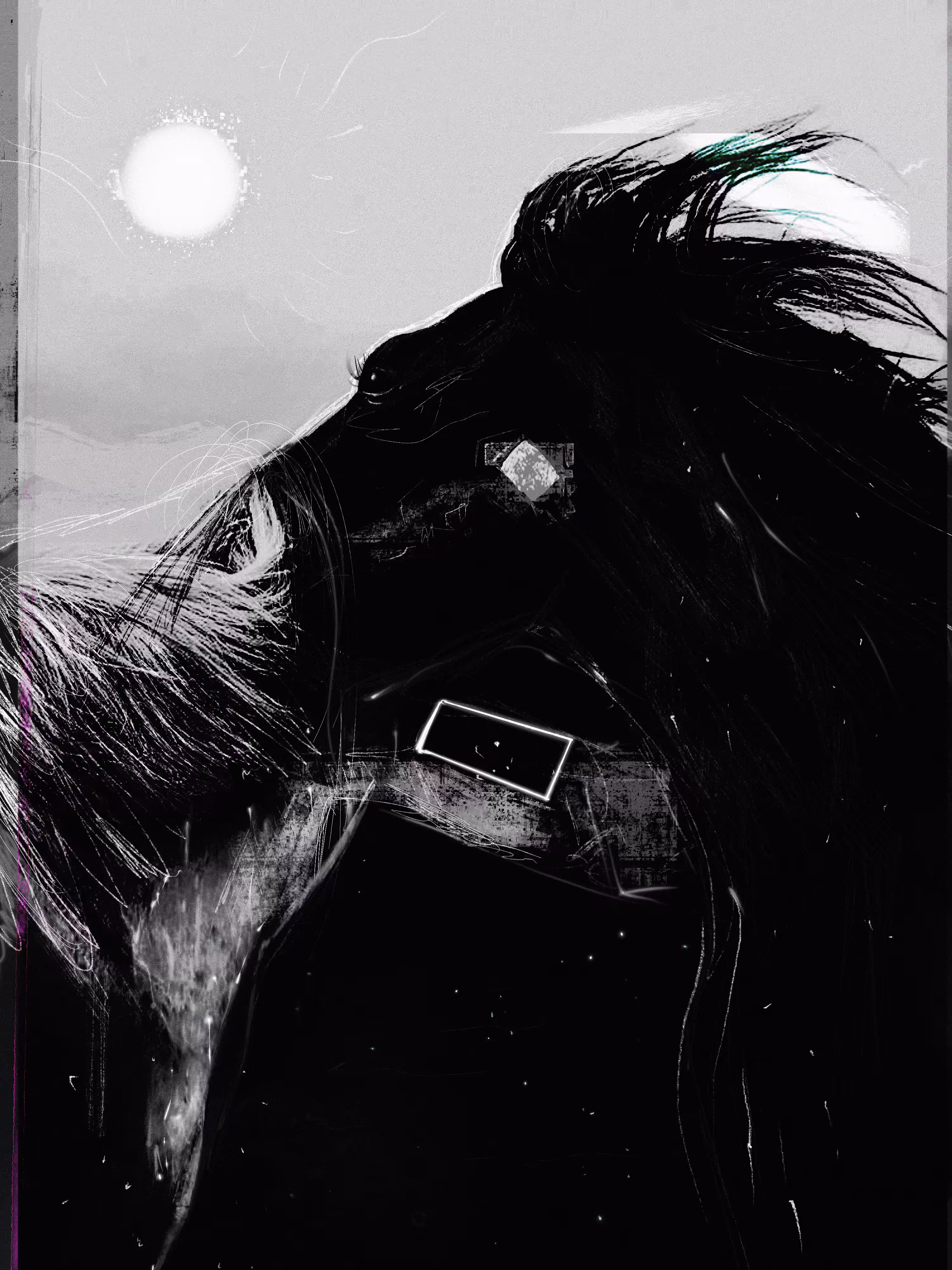 A Whisper Within the Black