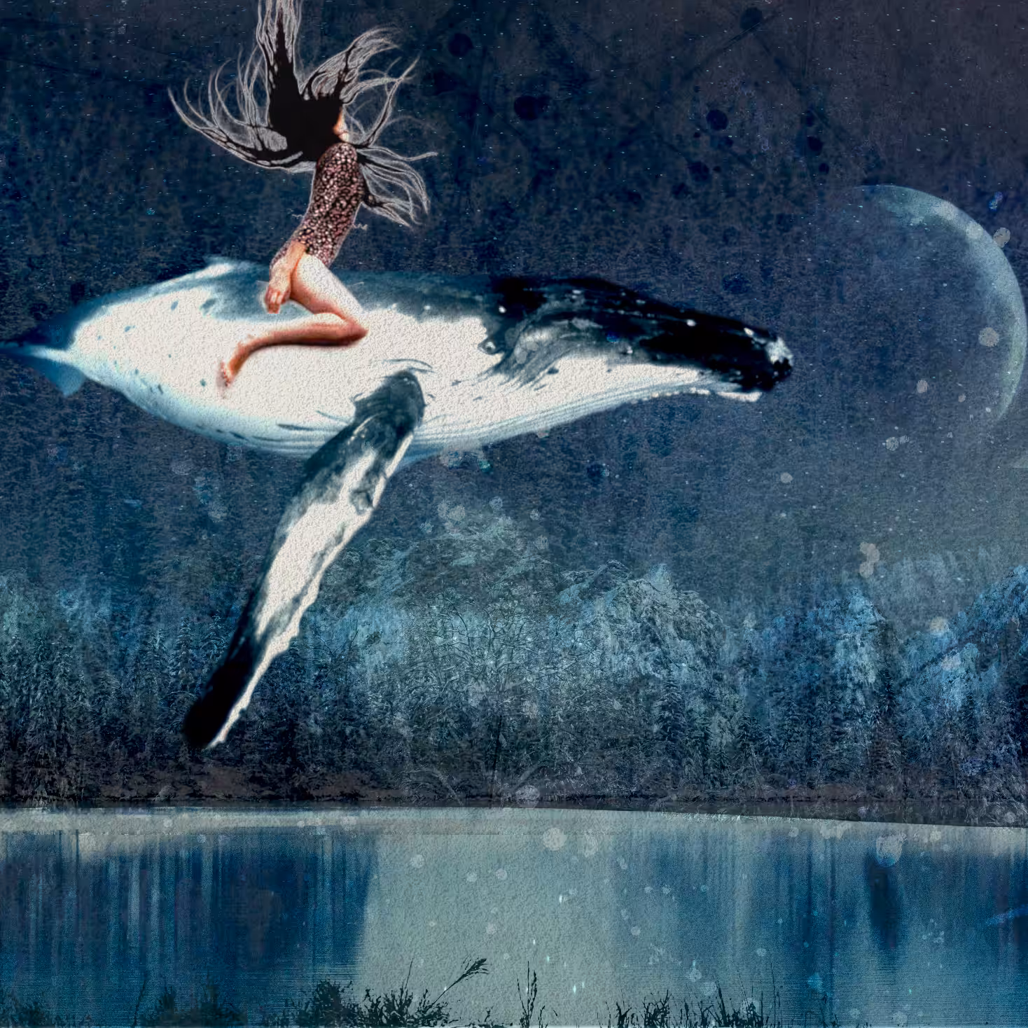 Second Entry: The song of the Ice