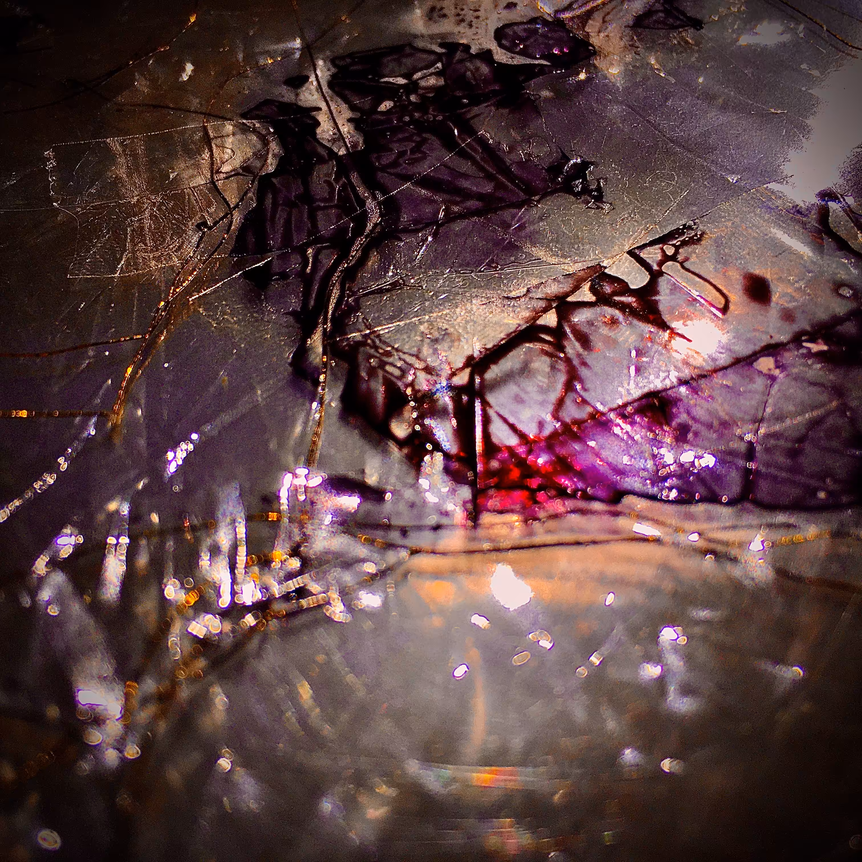 elocuent 1/6