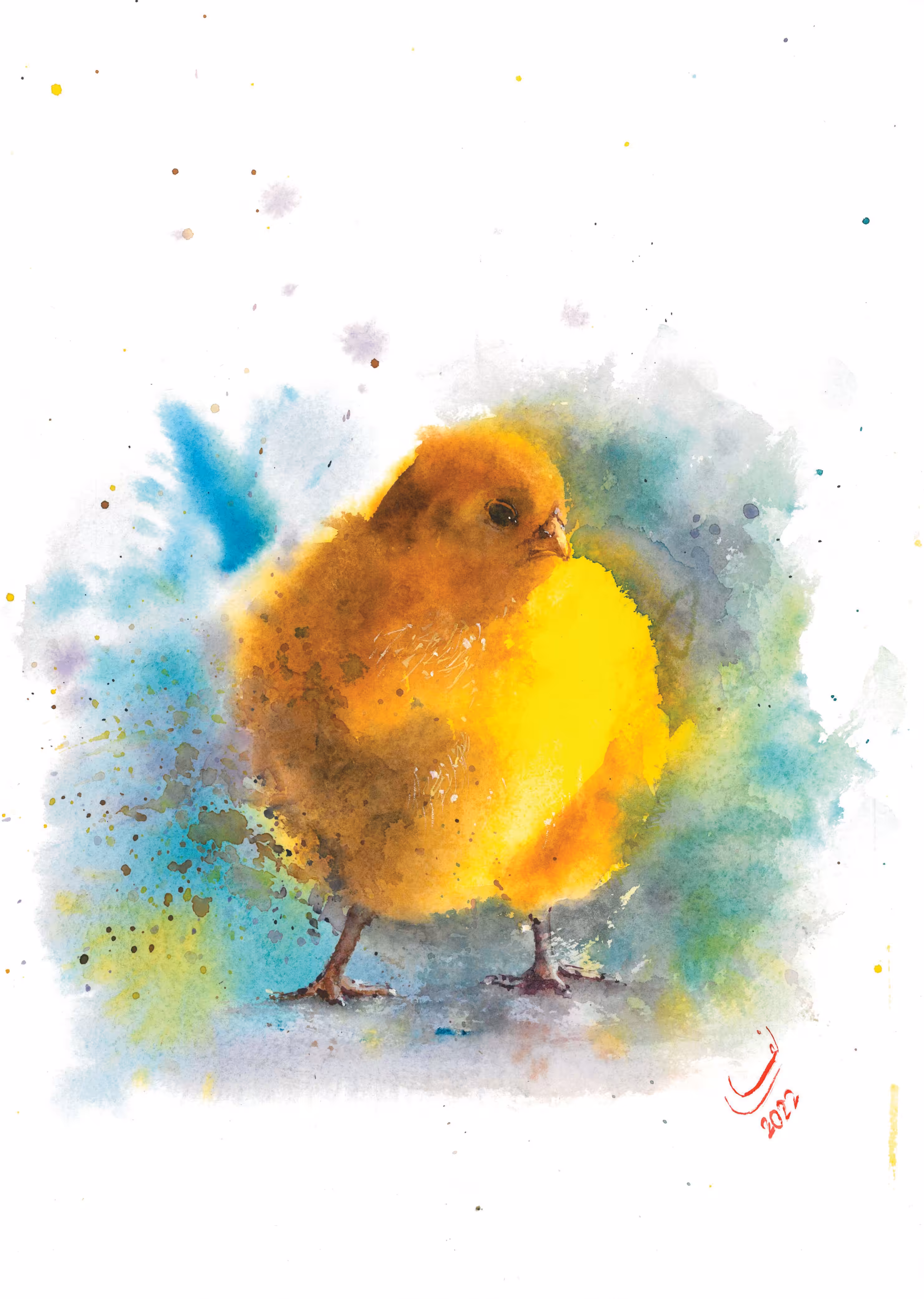 Sad yellow chicken
