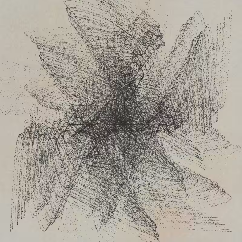 polar thread n.06 #7
