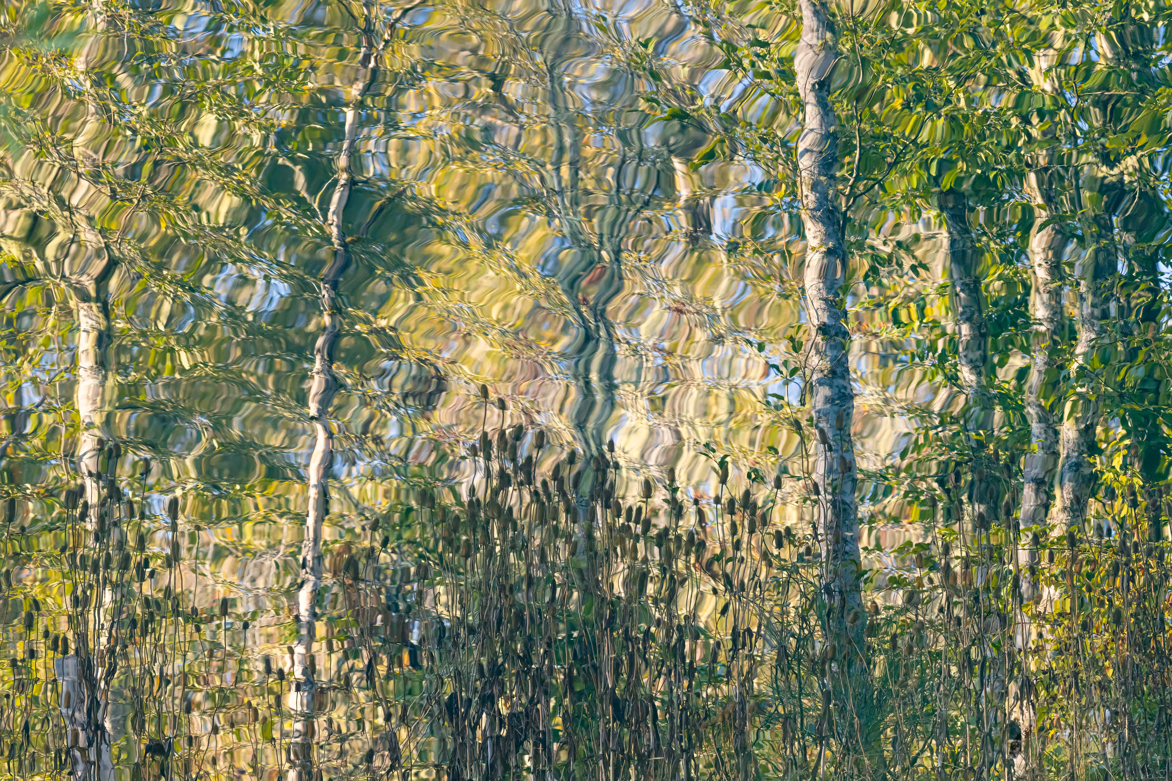 Ebb and Flow #13a