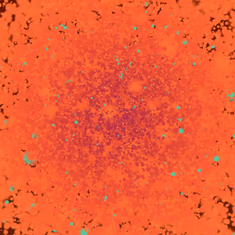 Coalesce #60