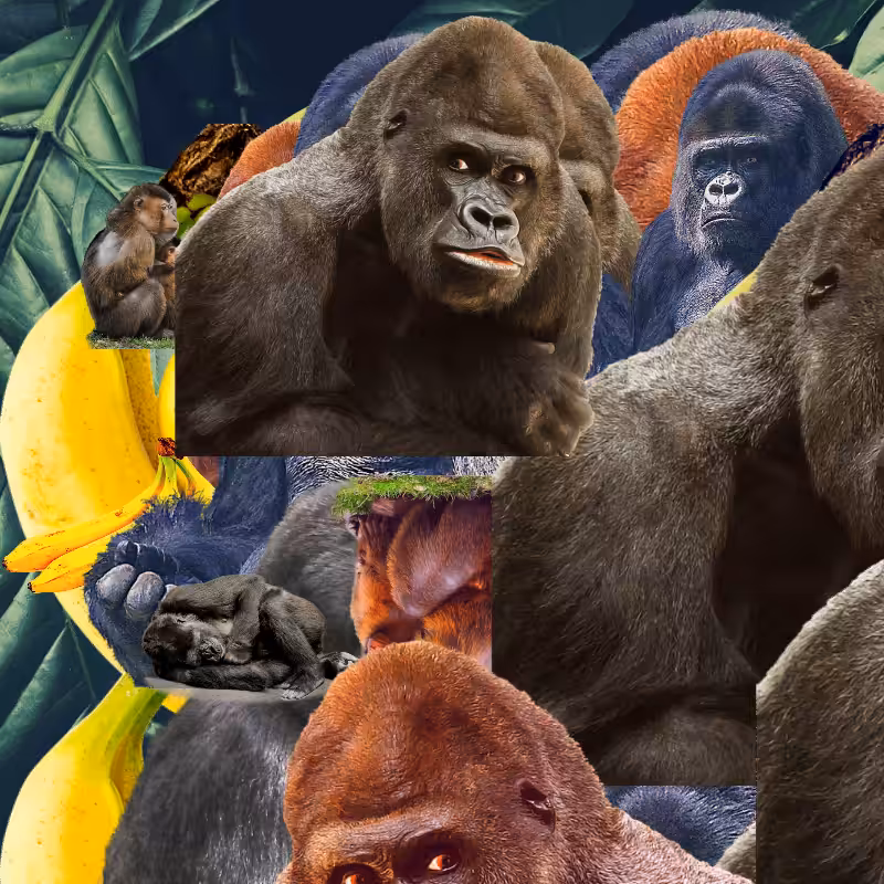 Banana #1 #21