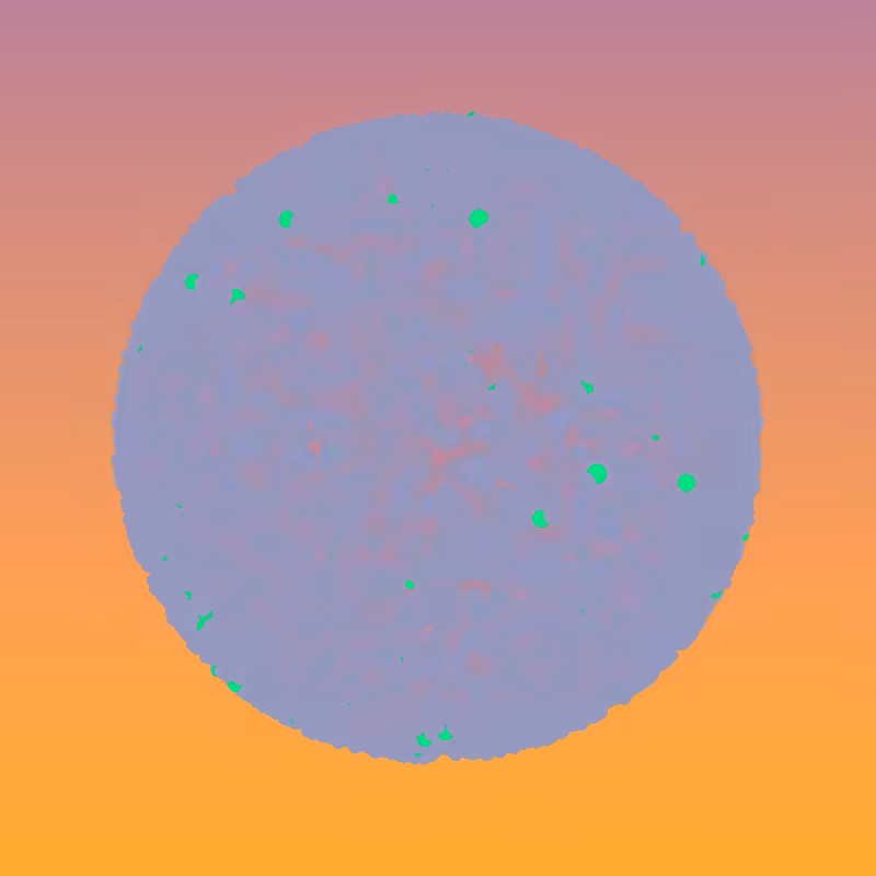 Coalesce #42