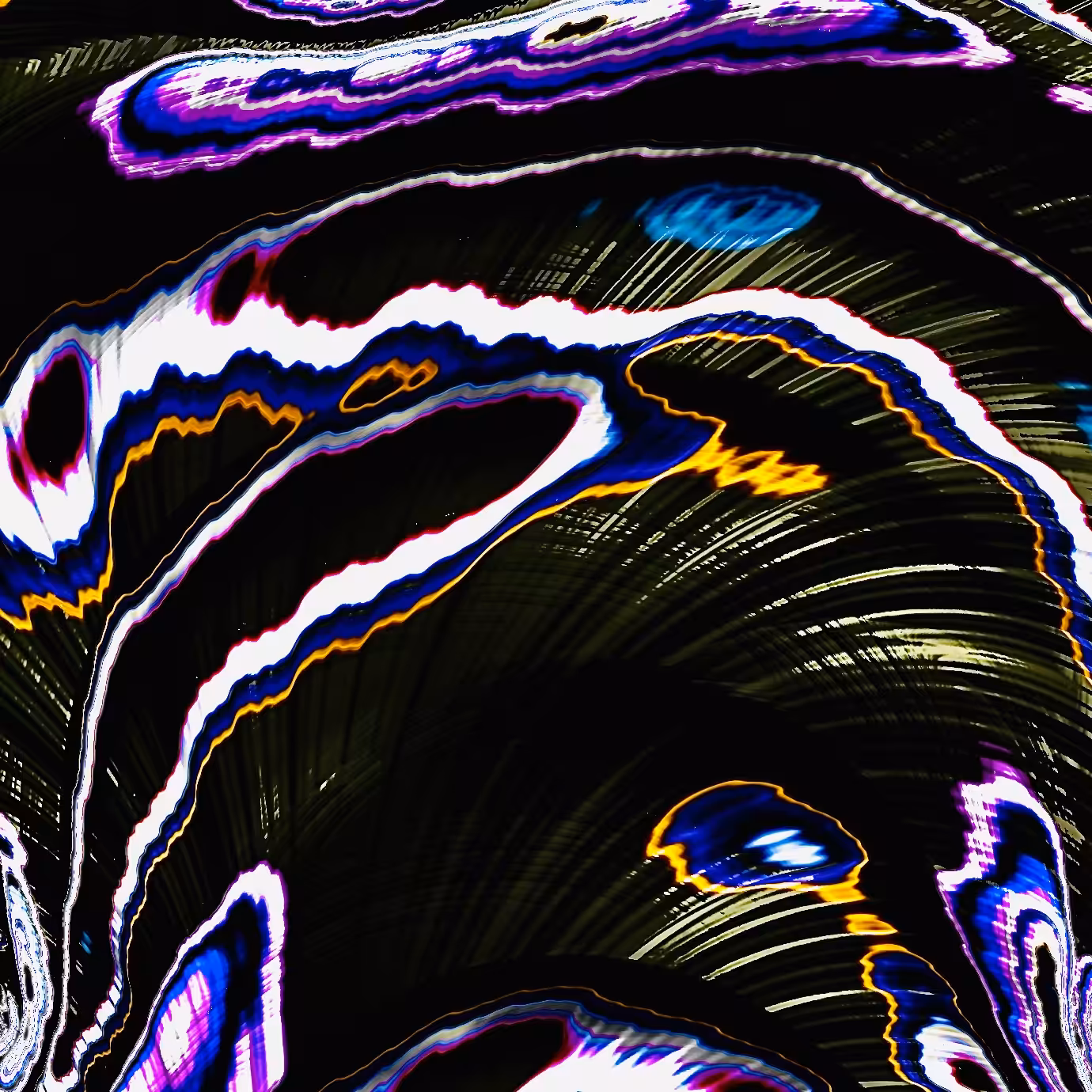 butterfly 03