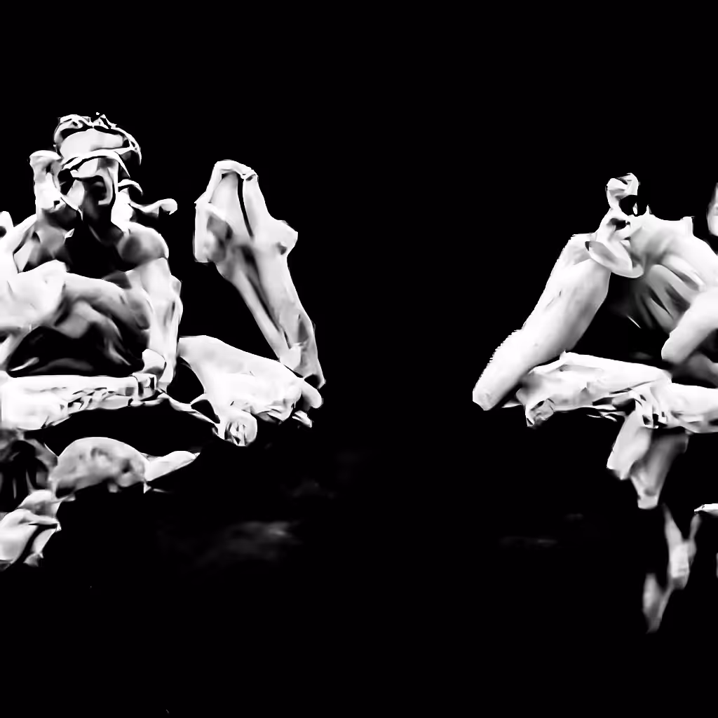 duality
