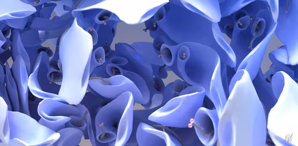 Sea Flower
