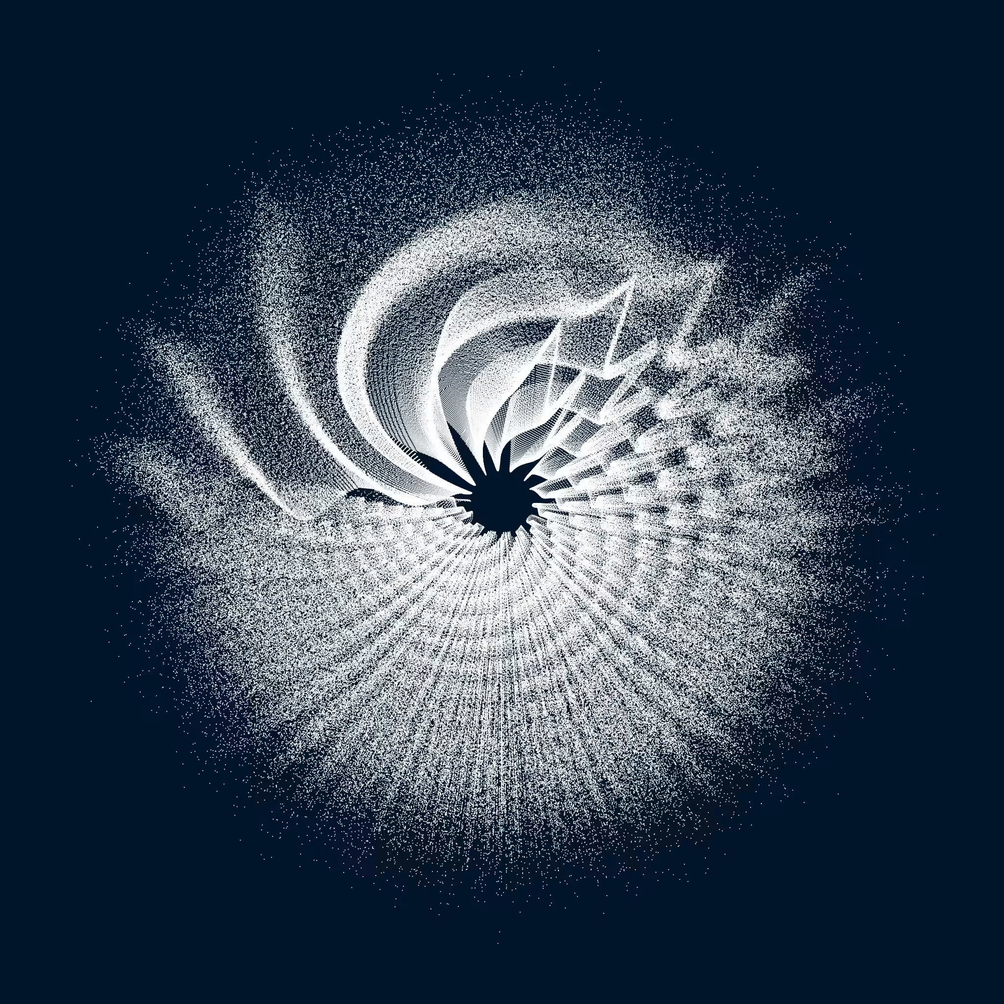CIRCULAR MURMURATIONS #142