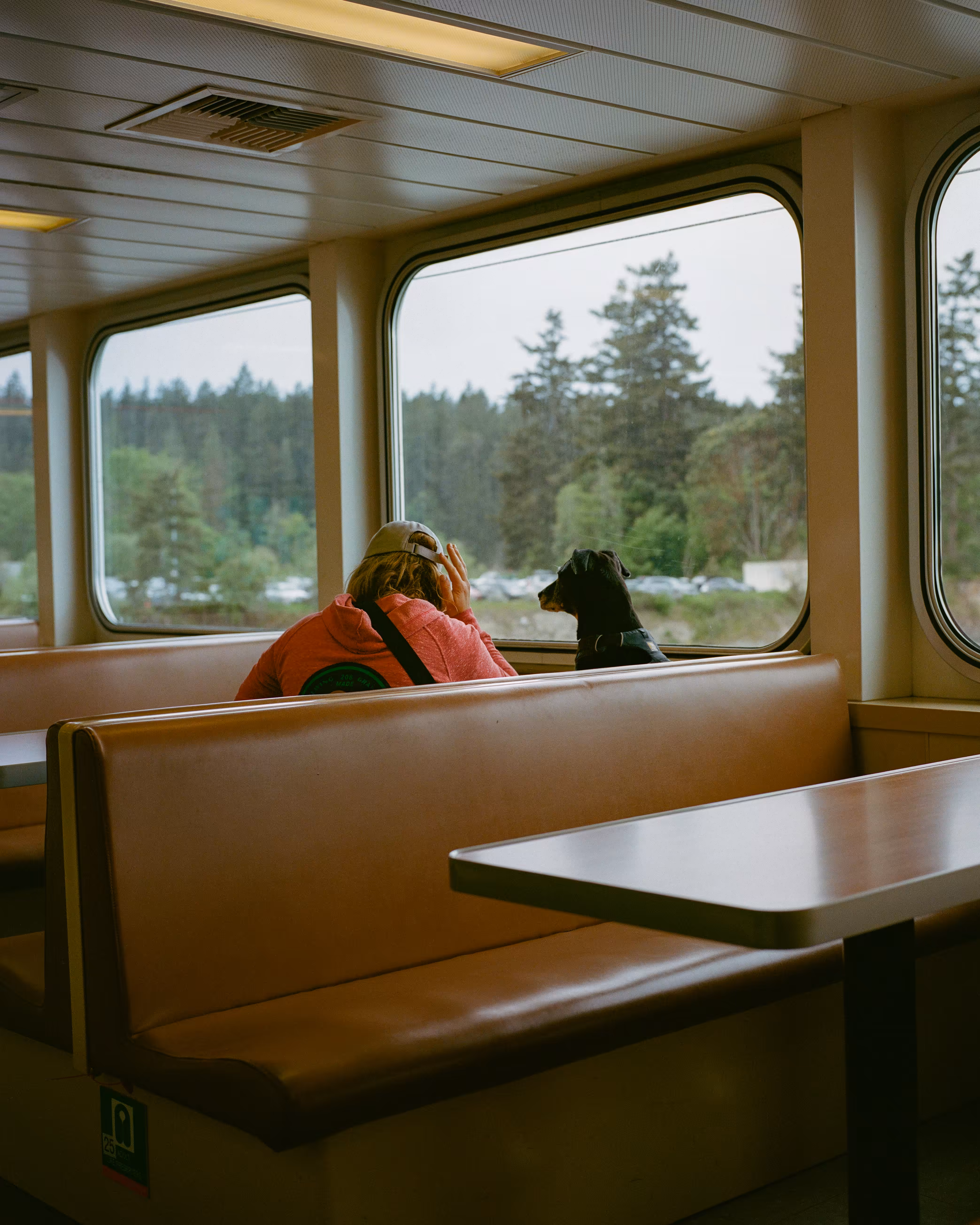 Companion