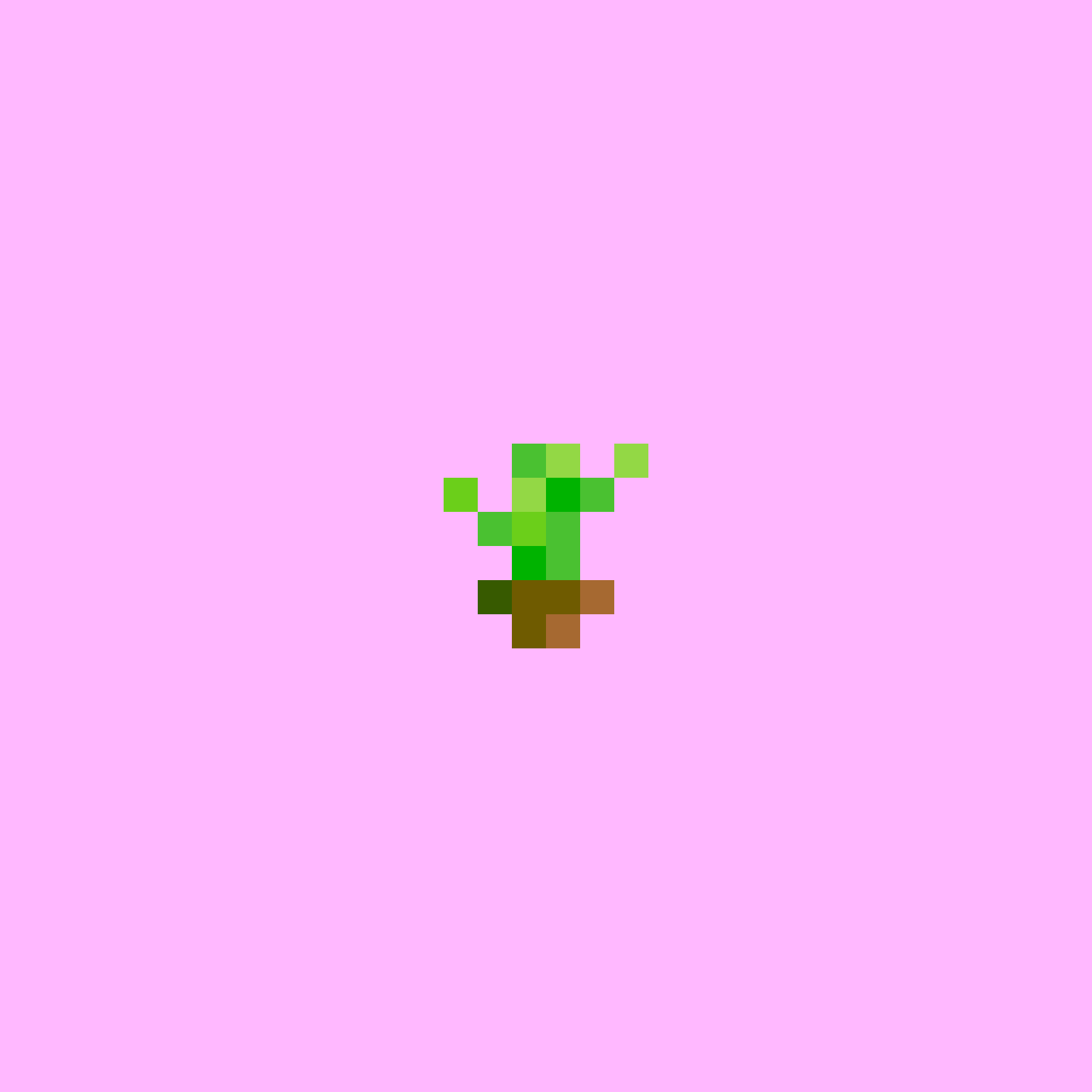 #66: Cactus