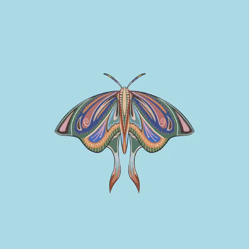 The Moth Experiment 2.0 P2 #20