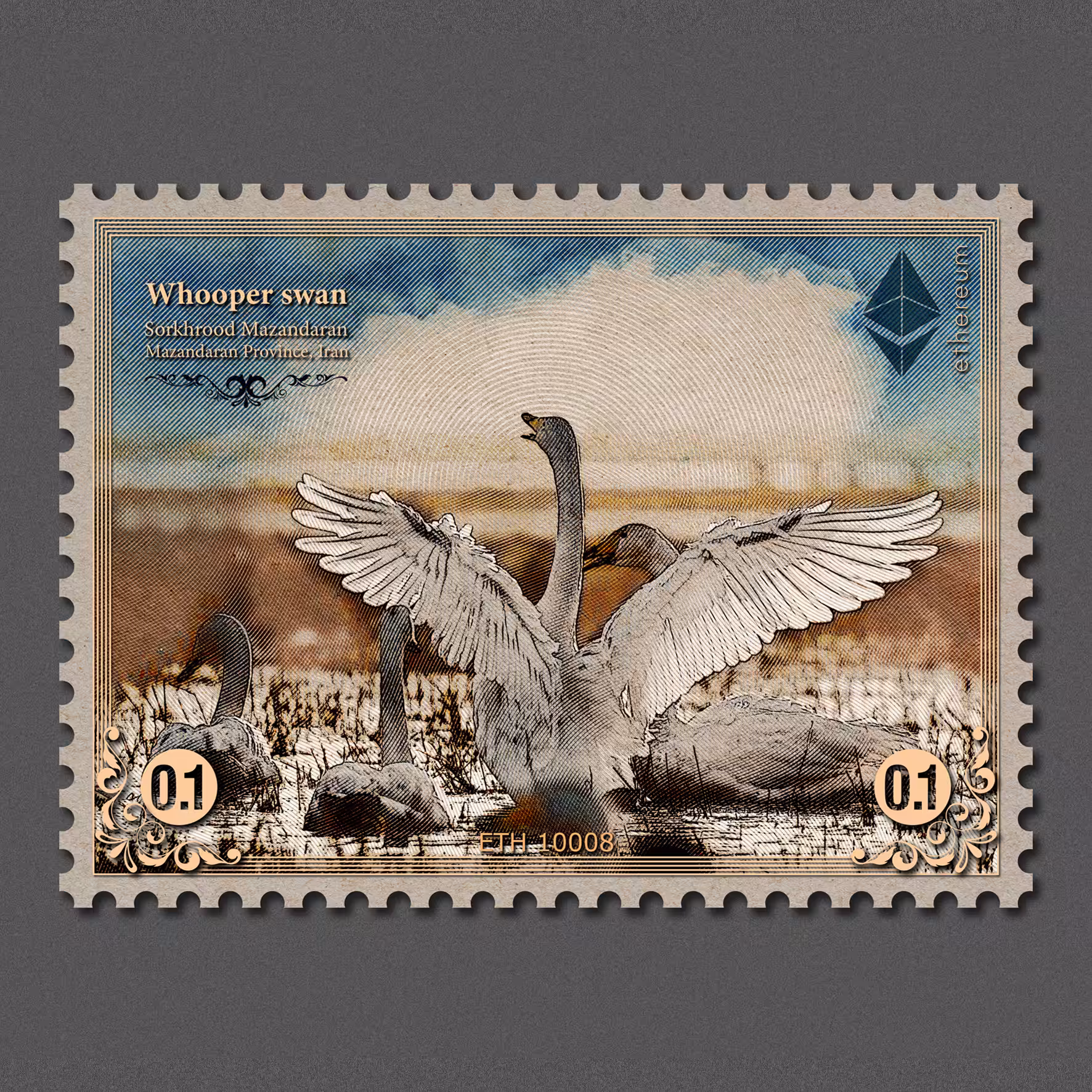 Whooper swan