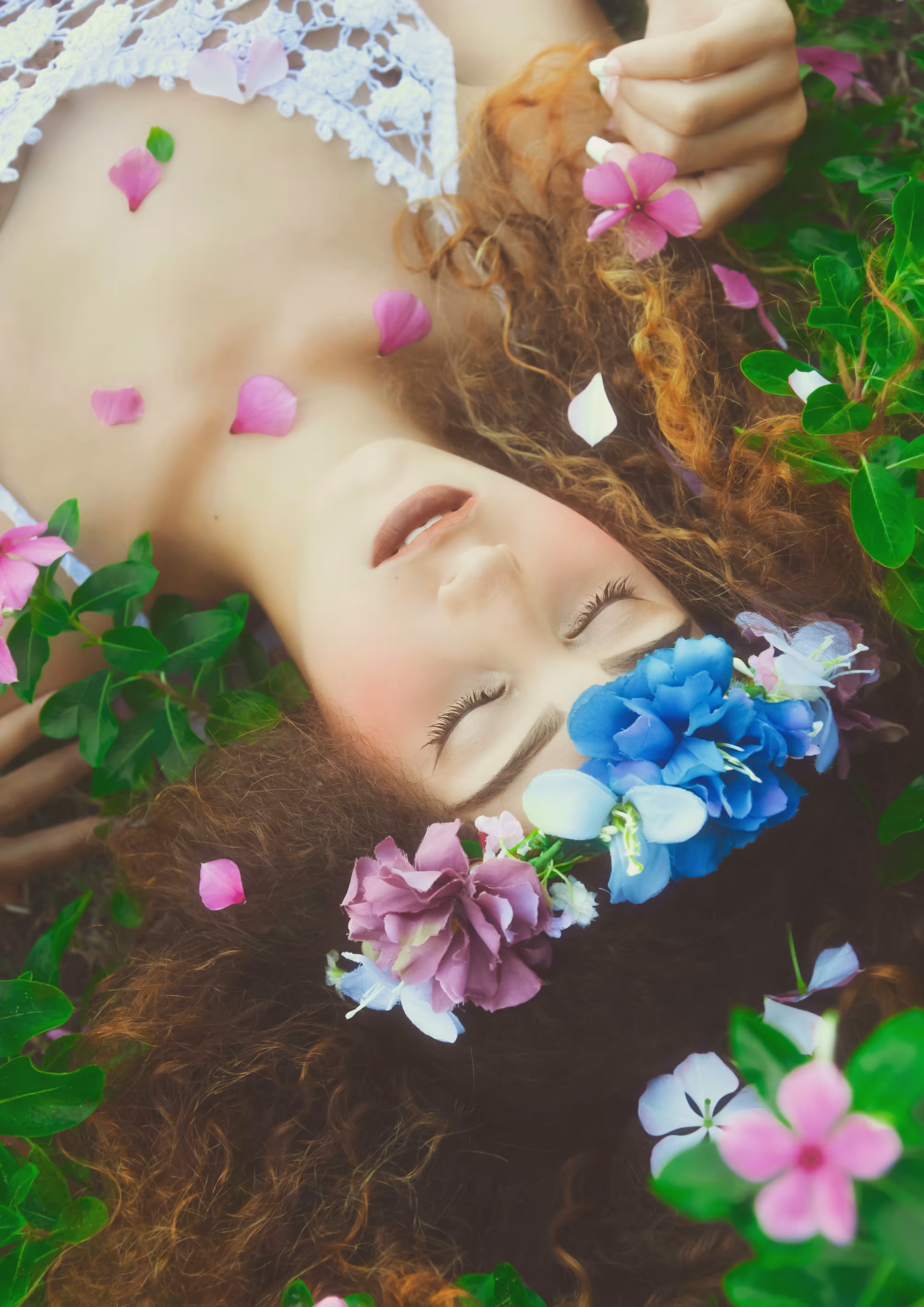 Dream Springs
