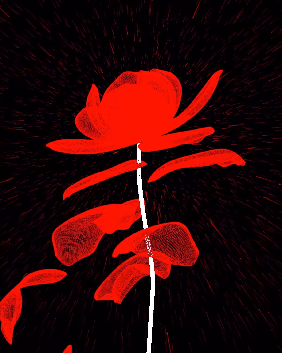BLOOM WIRE2!