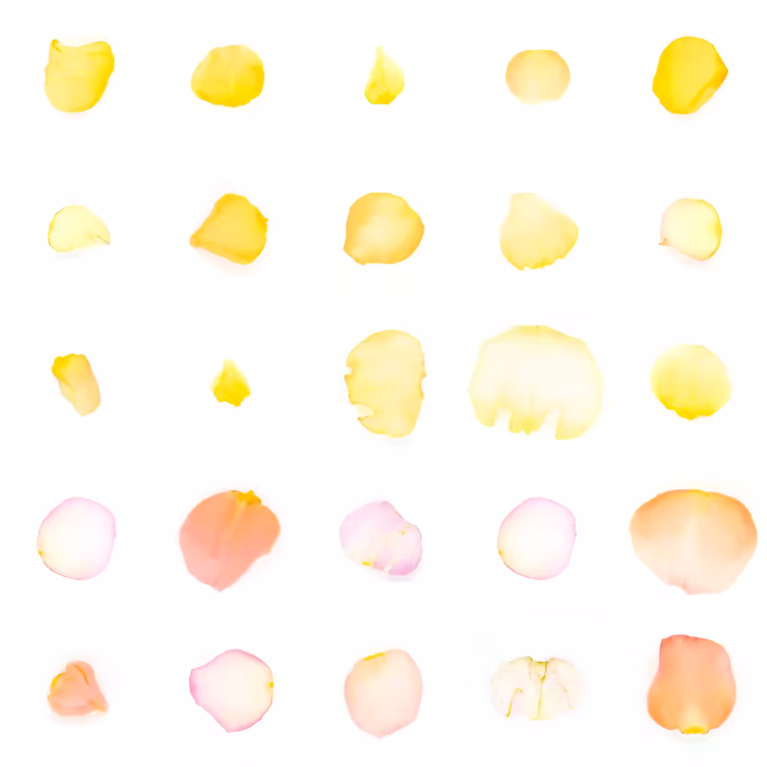 Infinite Petals 5x5#20863
