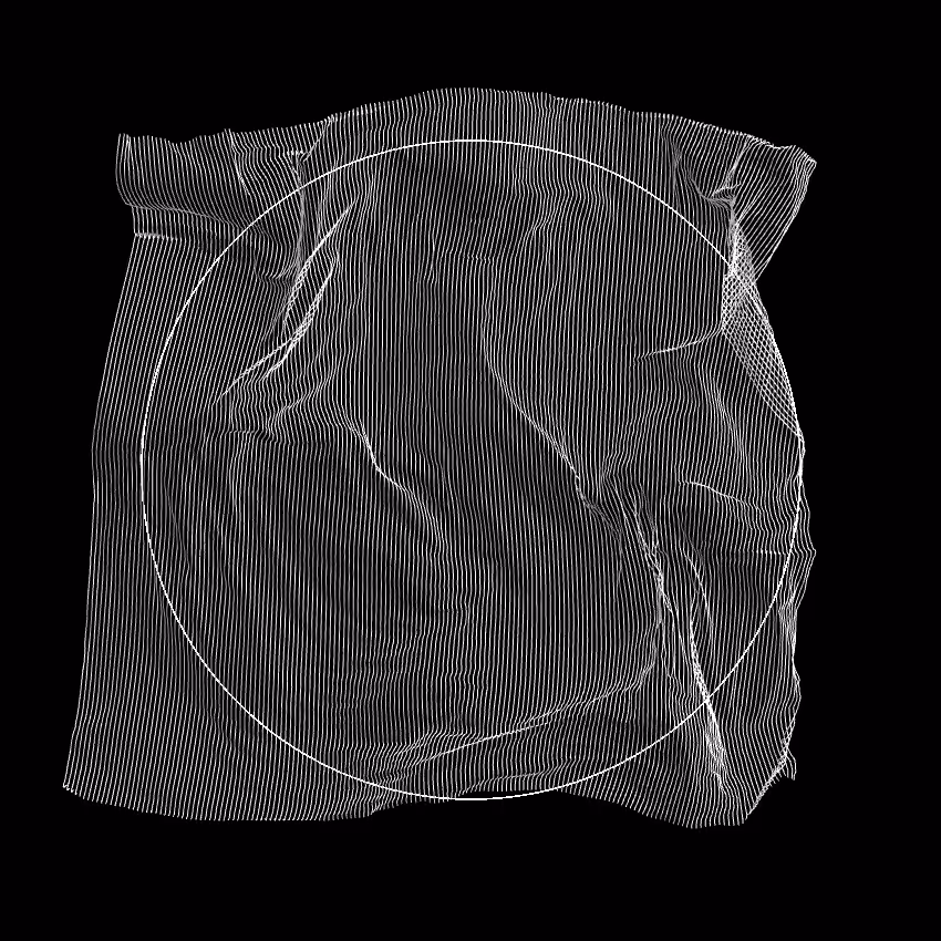 Fibril #258