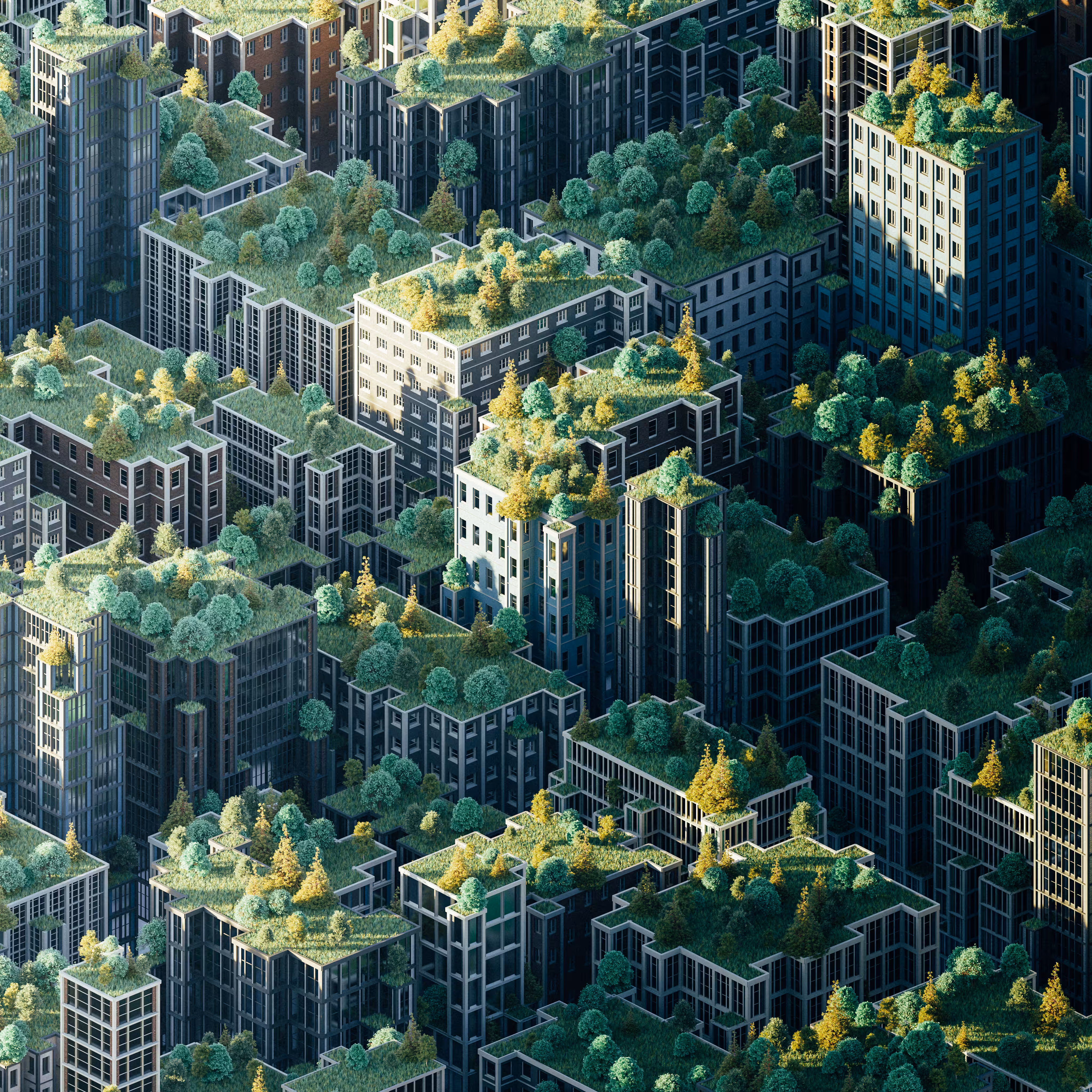 Urban jungle