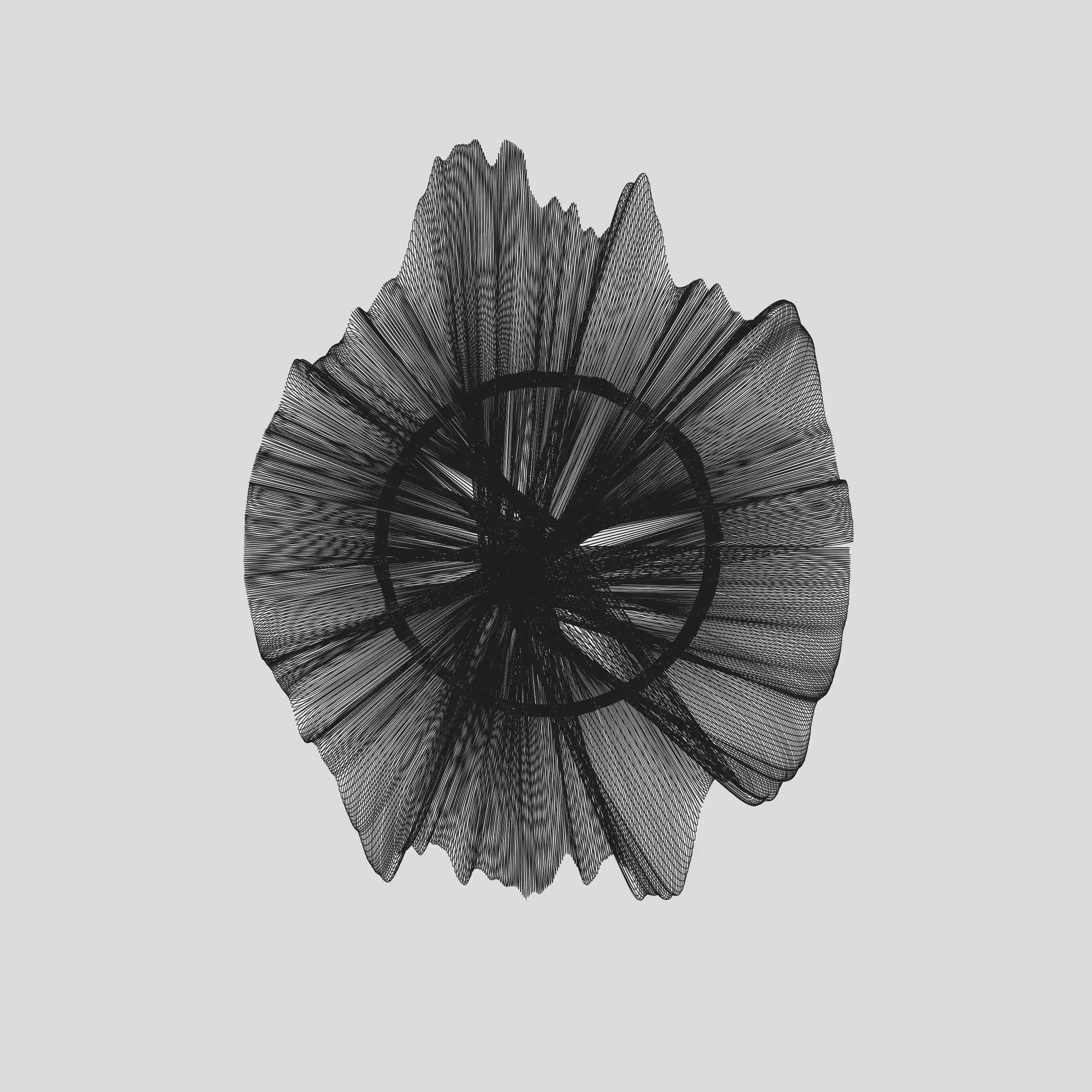 seed