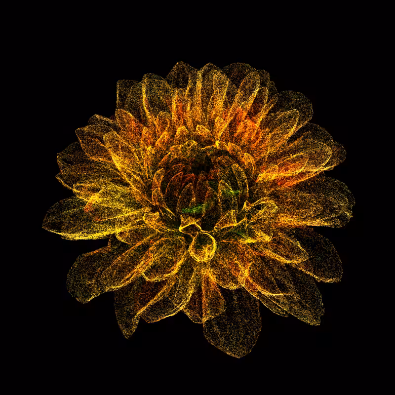 Dahlia Pinnata 30 #179
