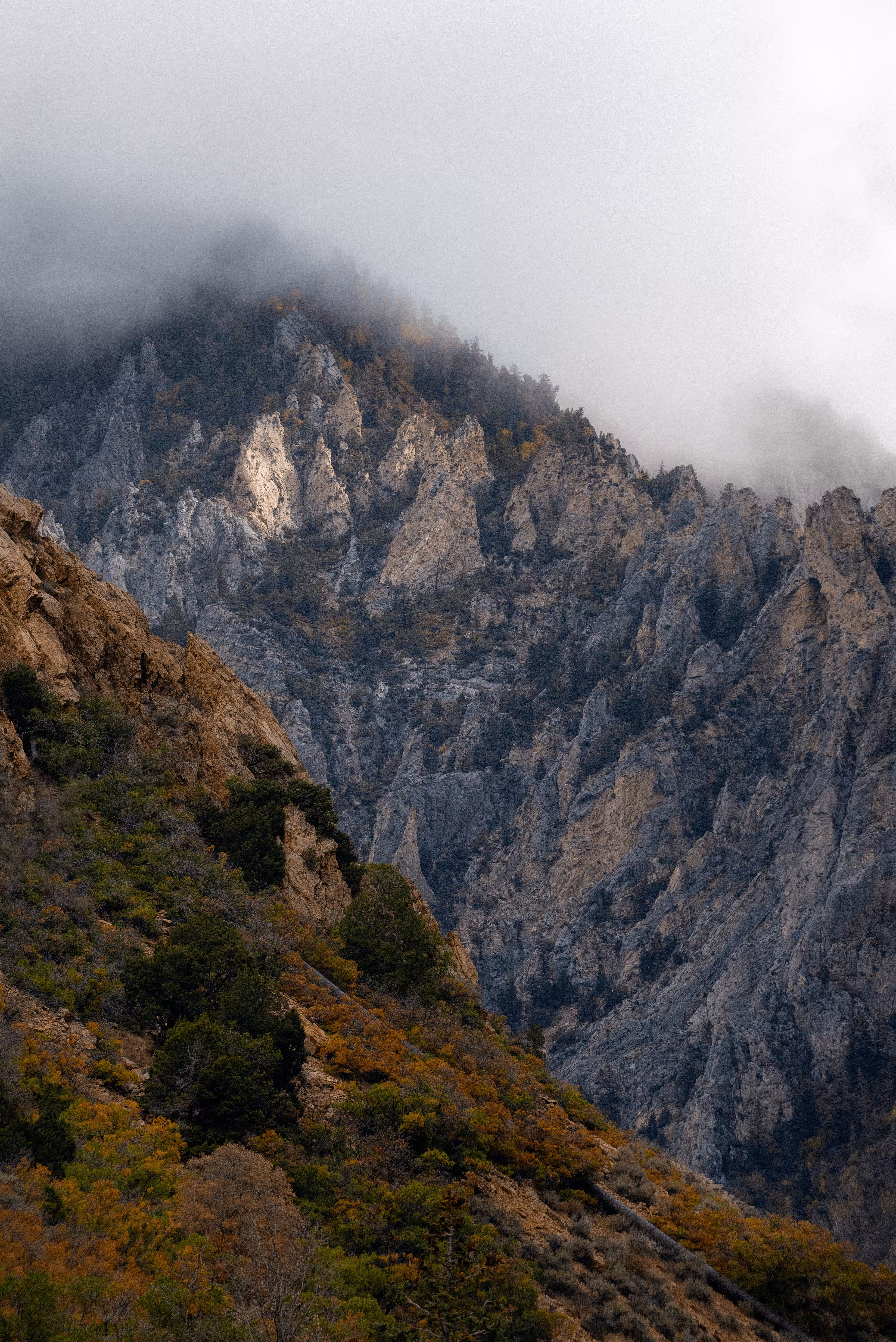 Autumn Formations