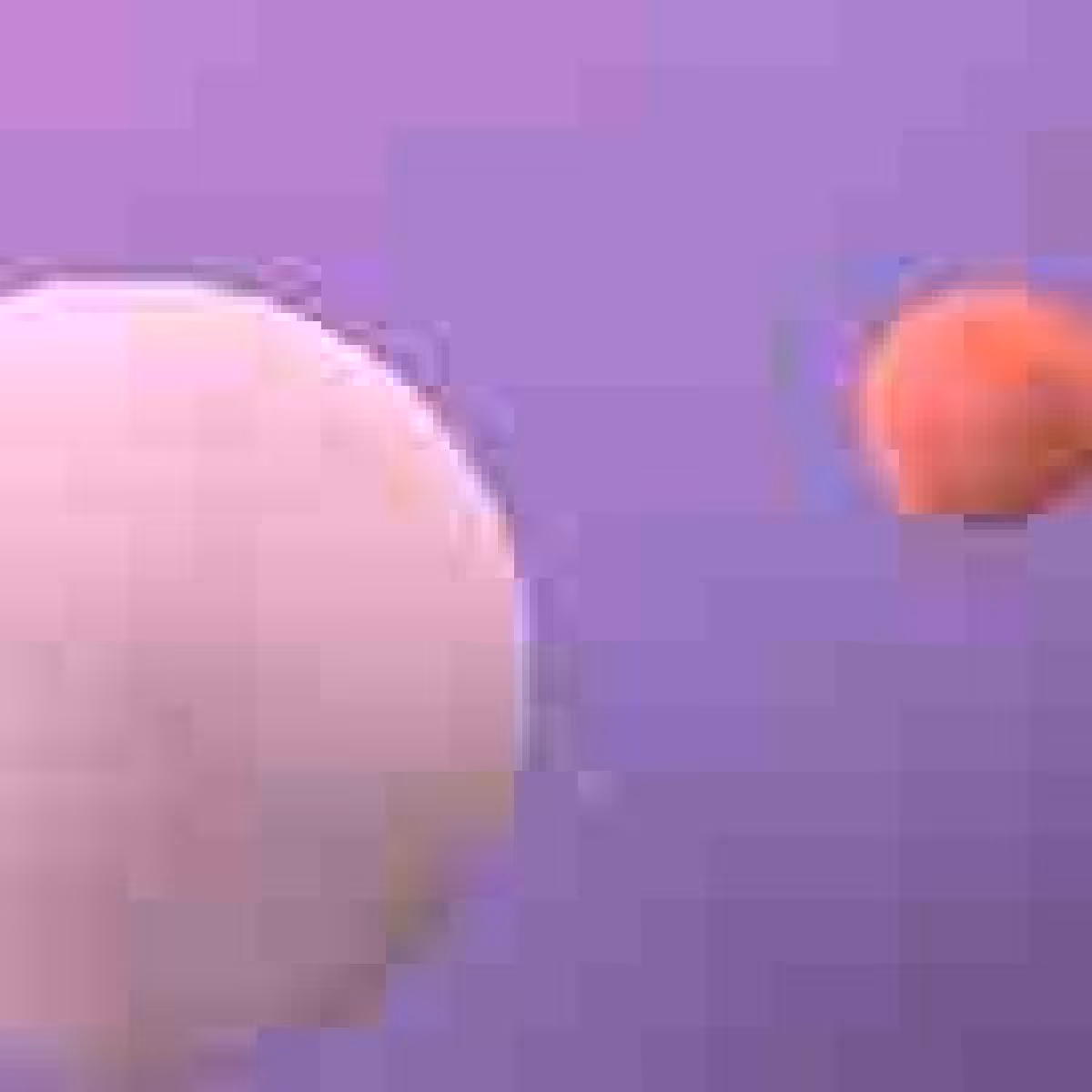 Orbit 938750187