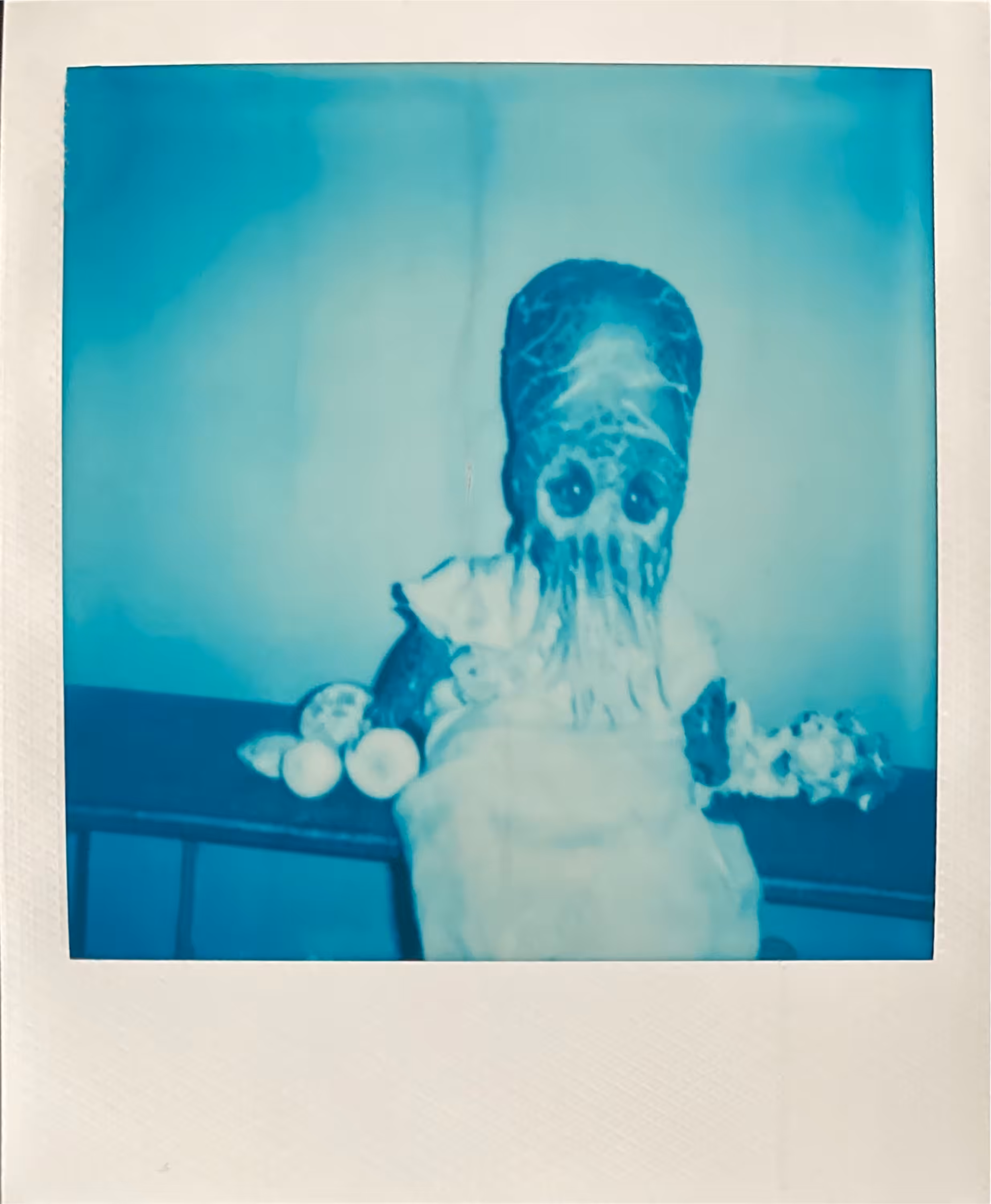Polaroids 14